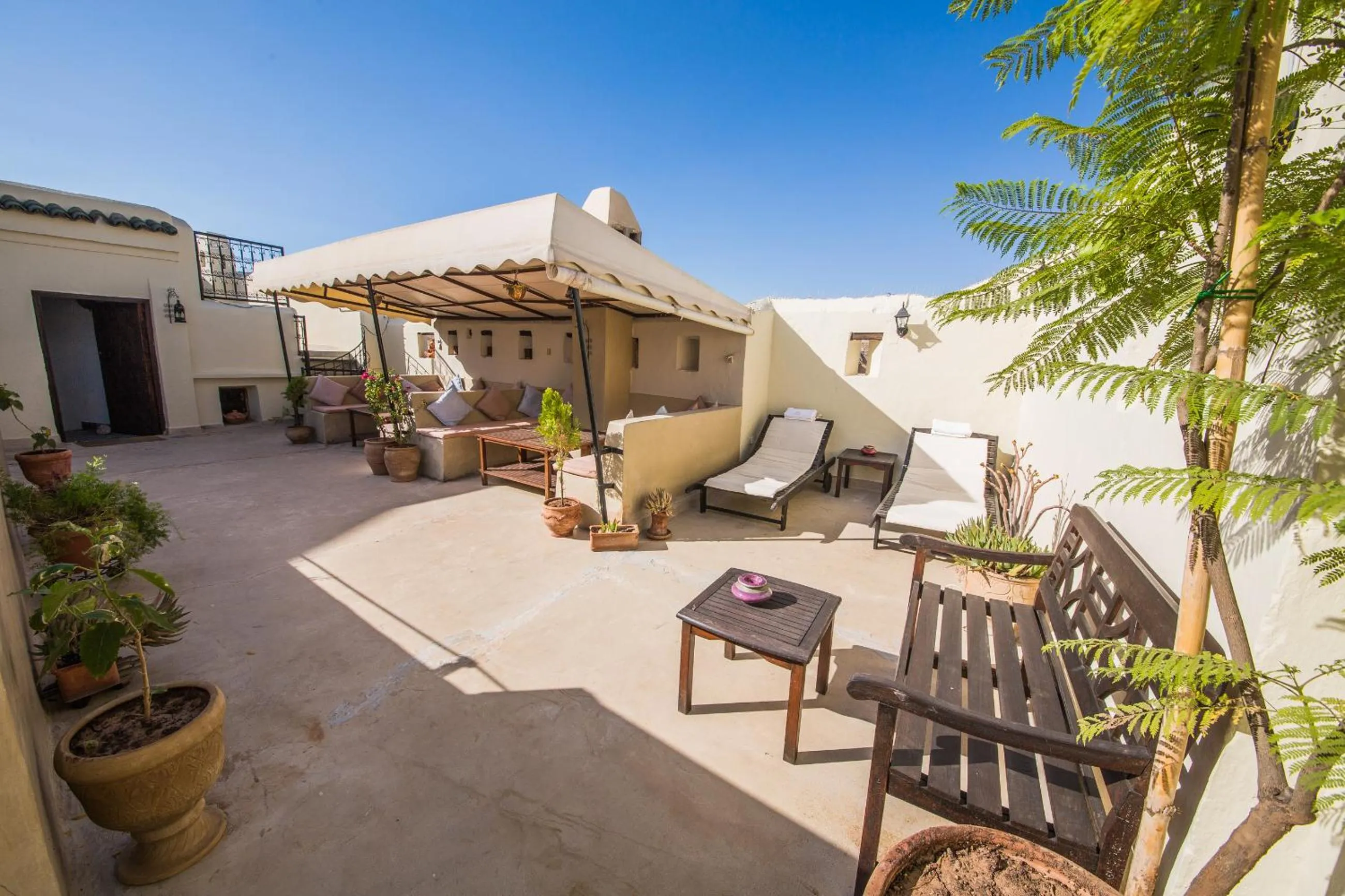 Garden in Dar victoria