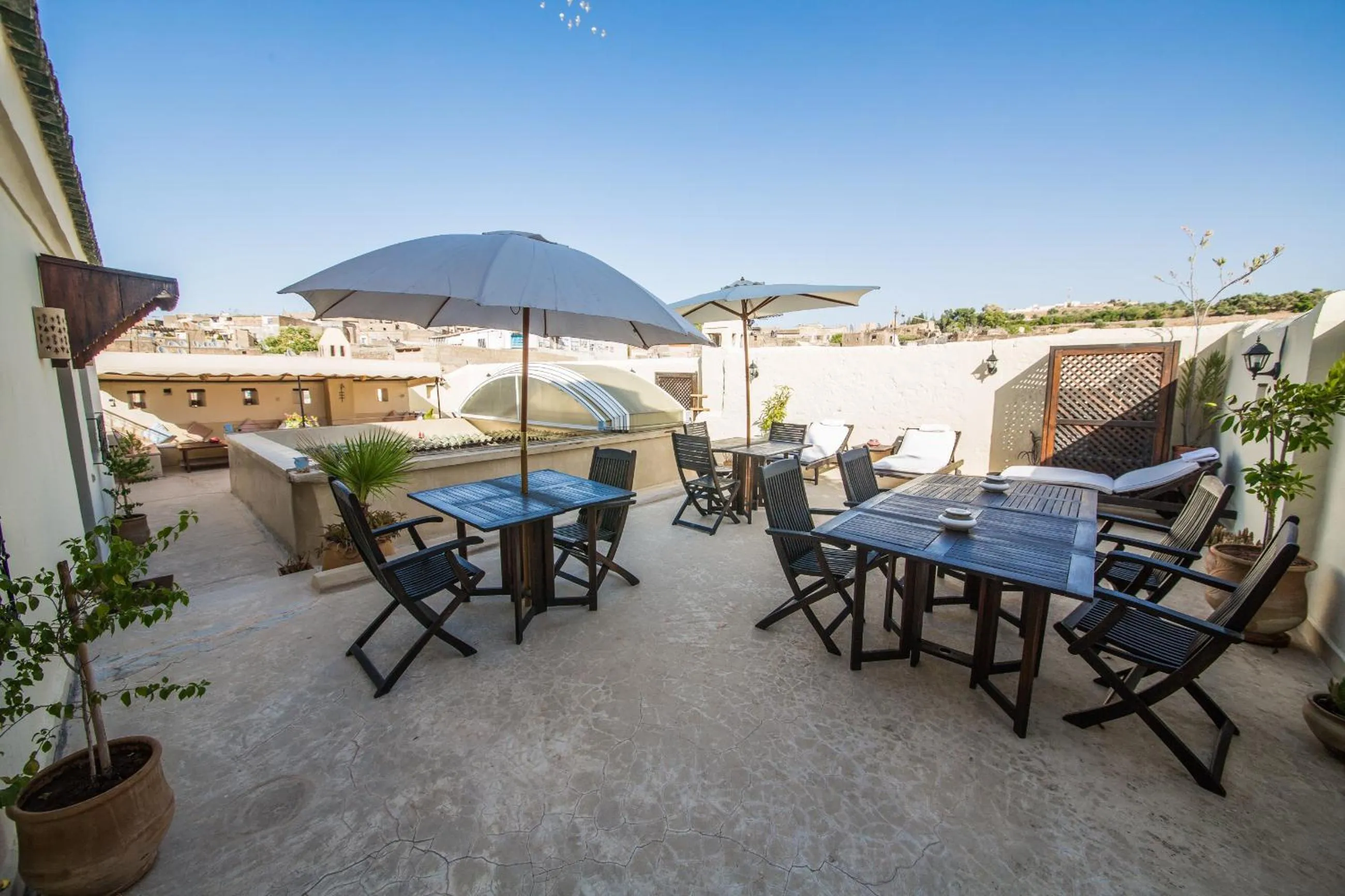 Garden in Dar victoria