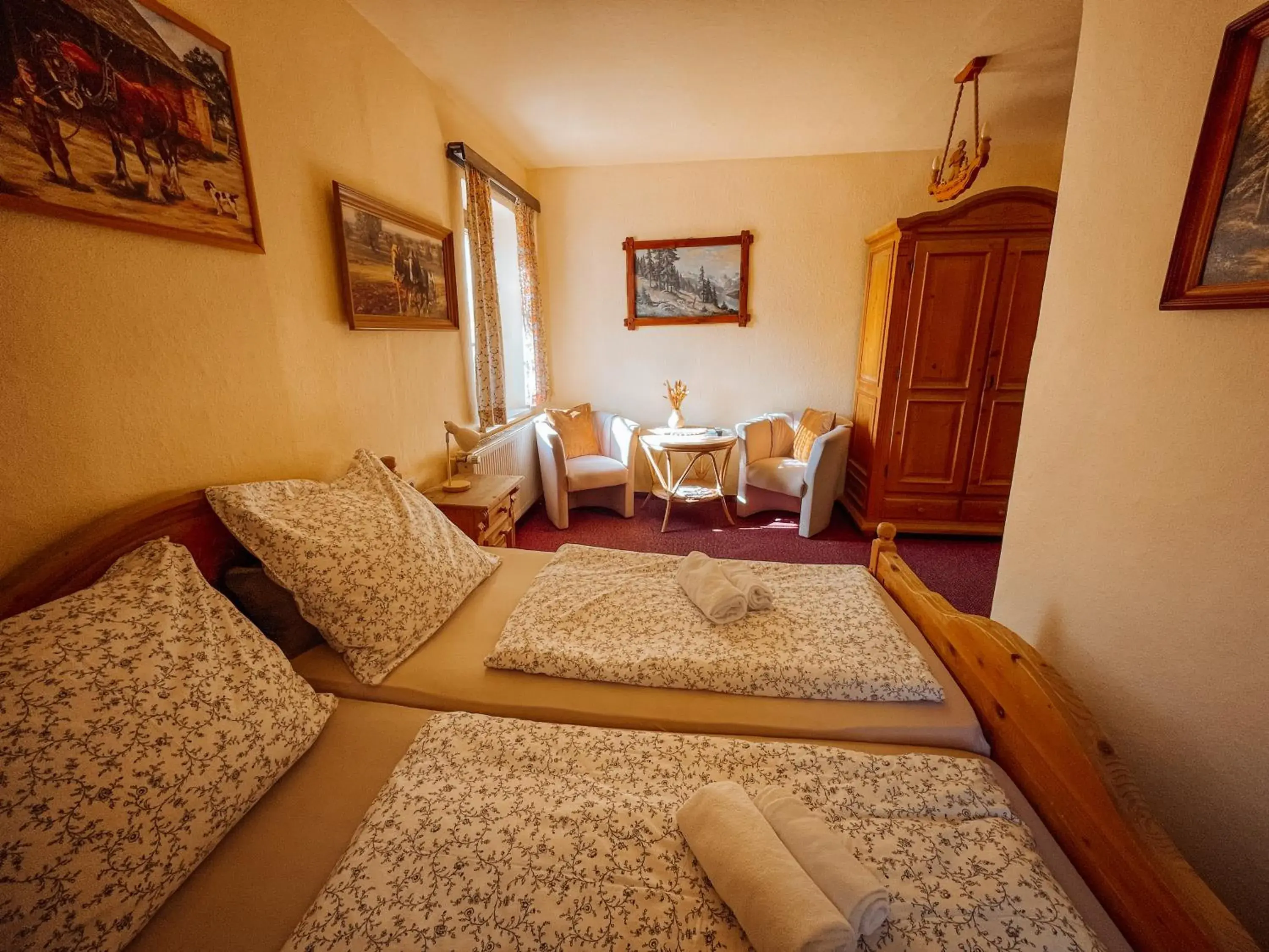 Double Room in Pension Zum Erzgebirge Double Room in Pension Zum Erzgebirge