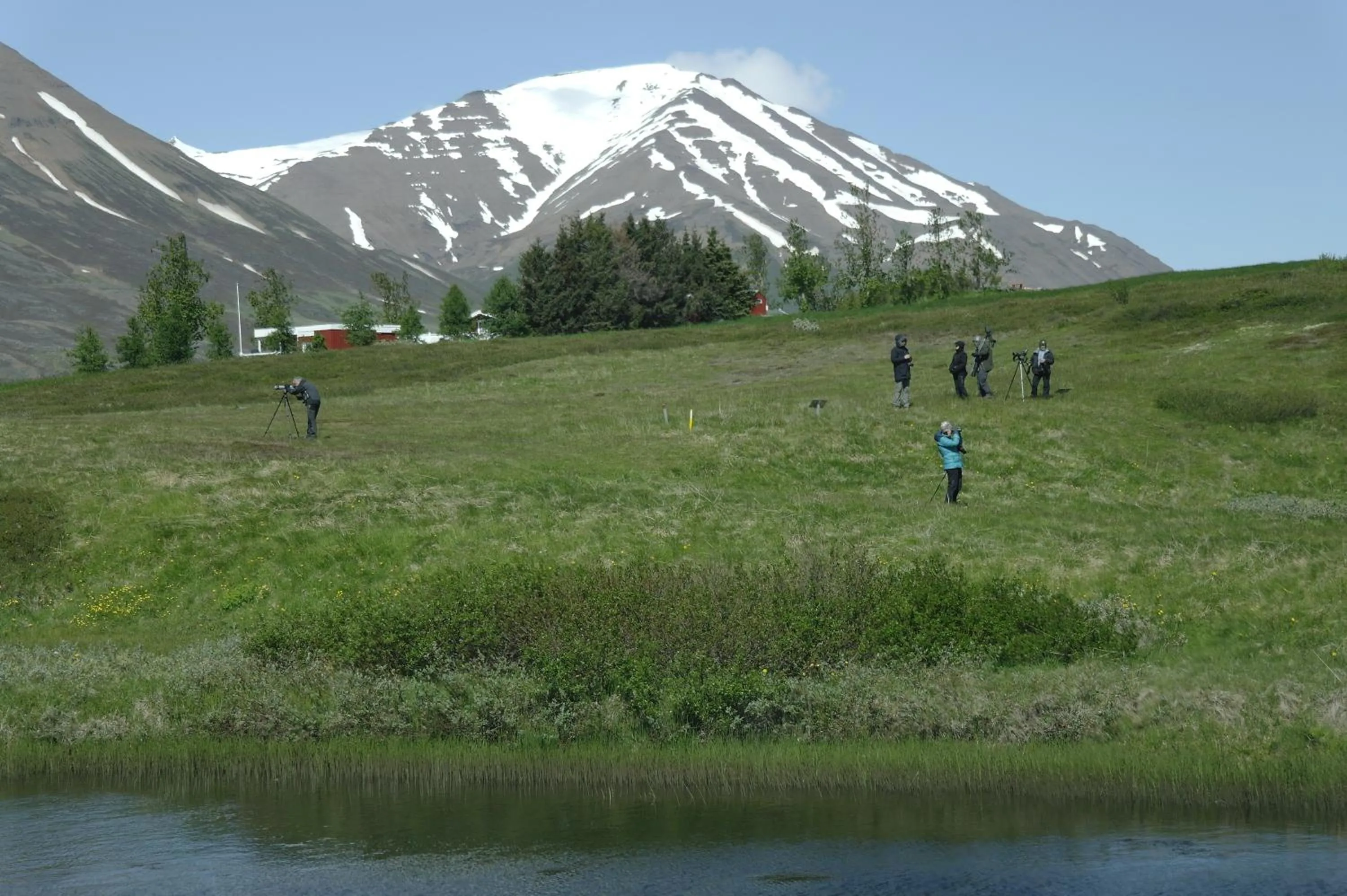 Mountain view in Hótel Dalvík