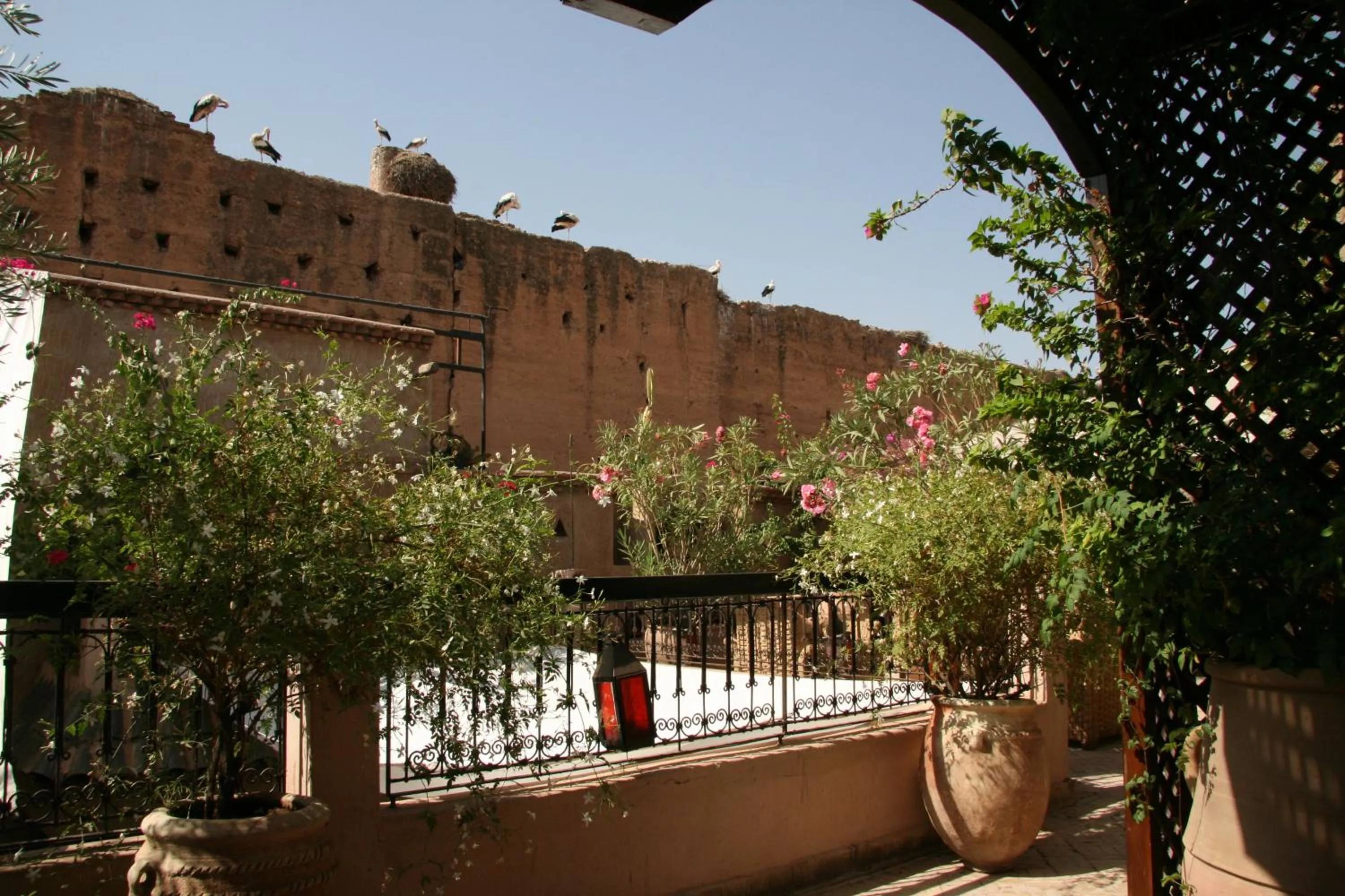 Garden view in Riad Carina