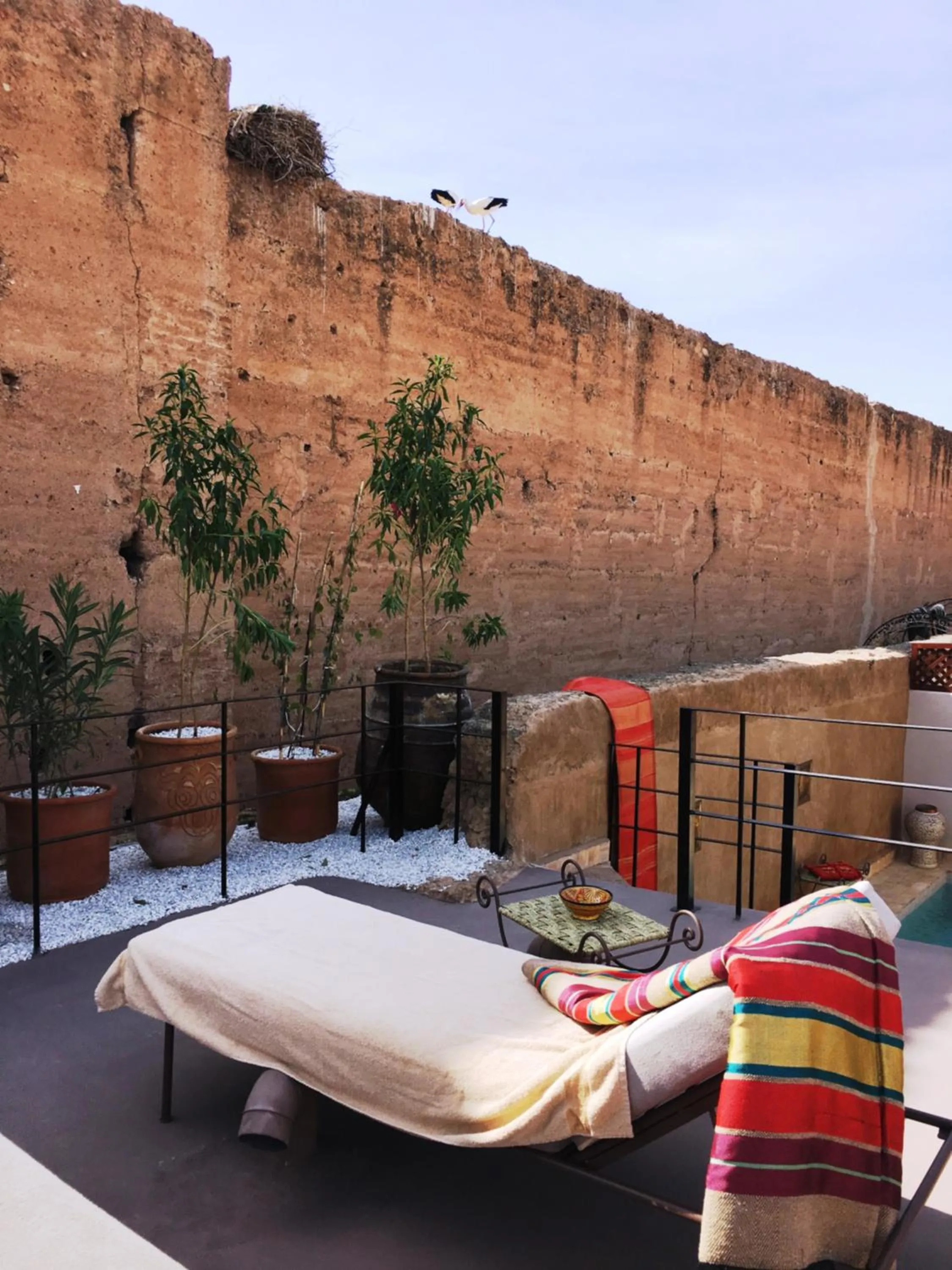Balcony/Terrace in Riad Carina