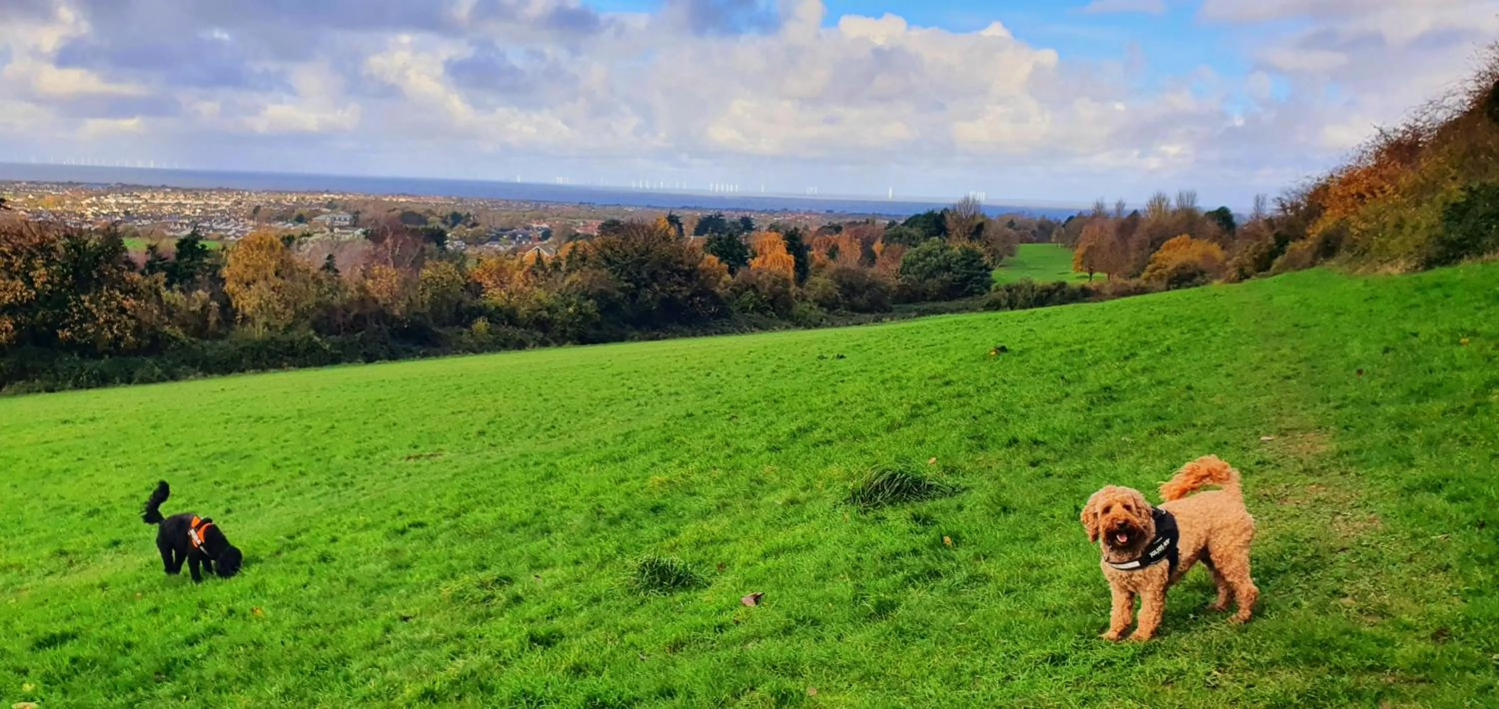 Natural landscape in Vale View Cottages -The Coach House, Great location in Prestatyn!