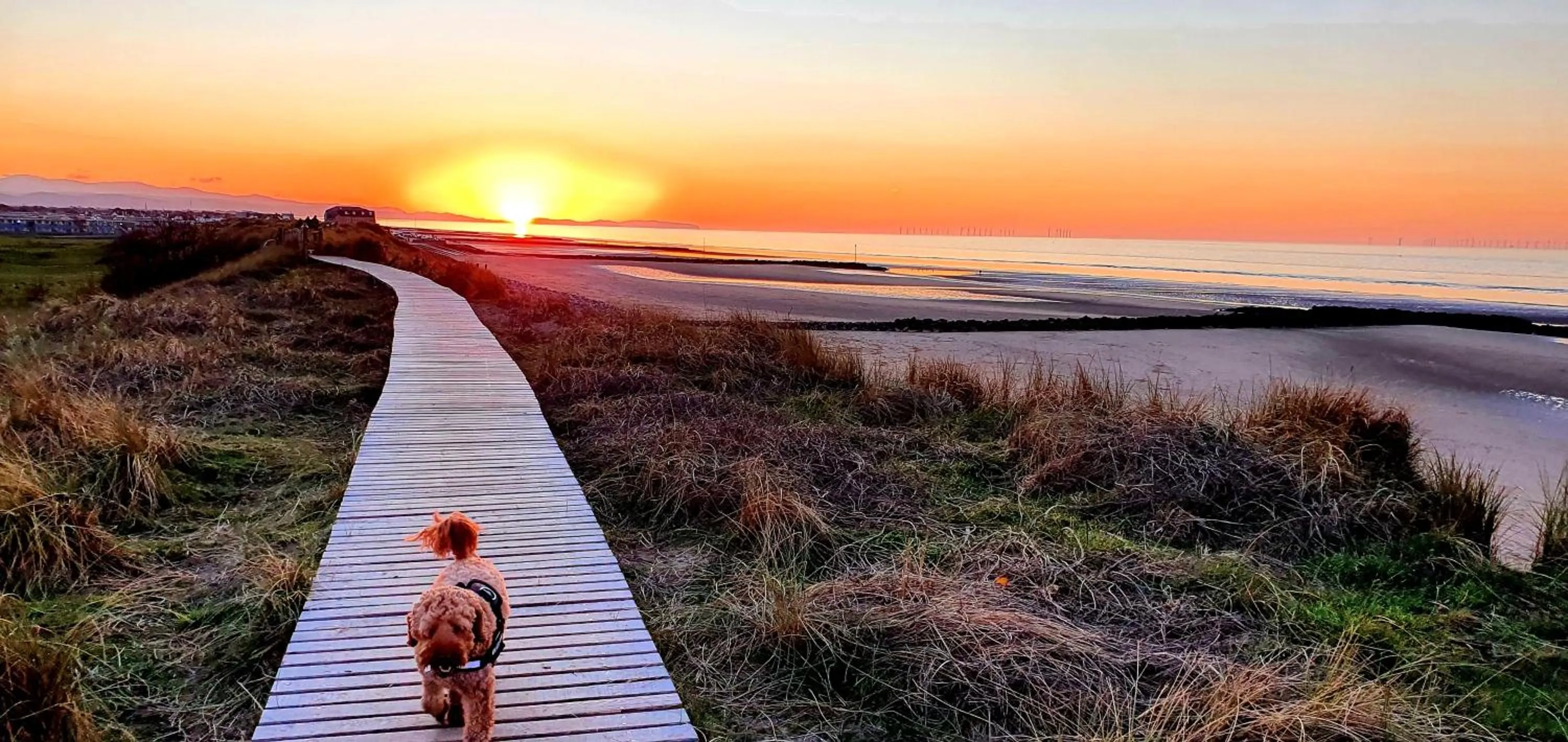 Beach in Vale View Cottages -The Coach House, Great location in Prestatyn!