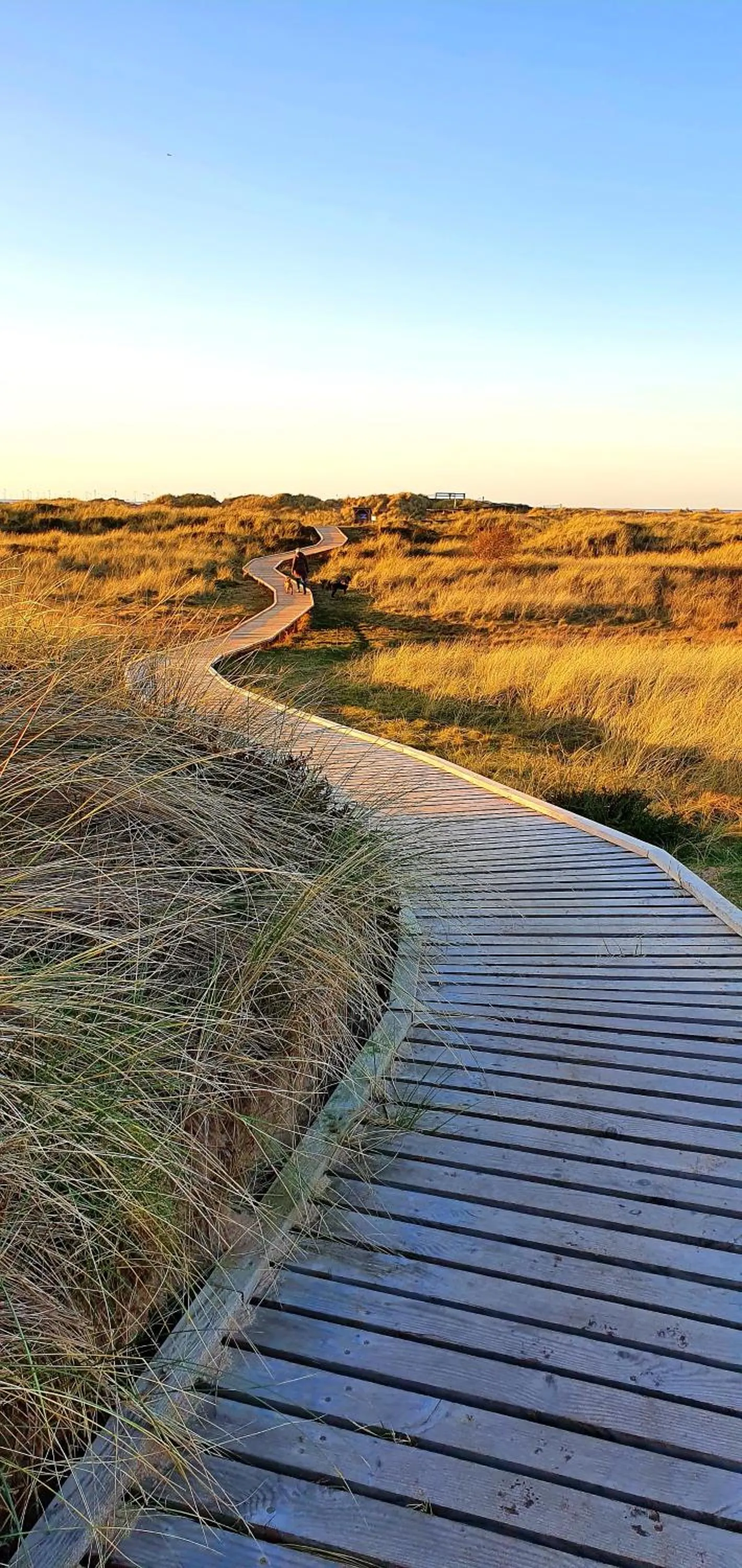 Natural landscape in Vale View Cottages -The Coach House, Great location in Prestatyn!