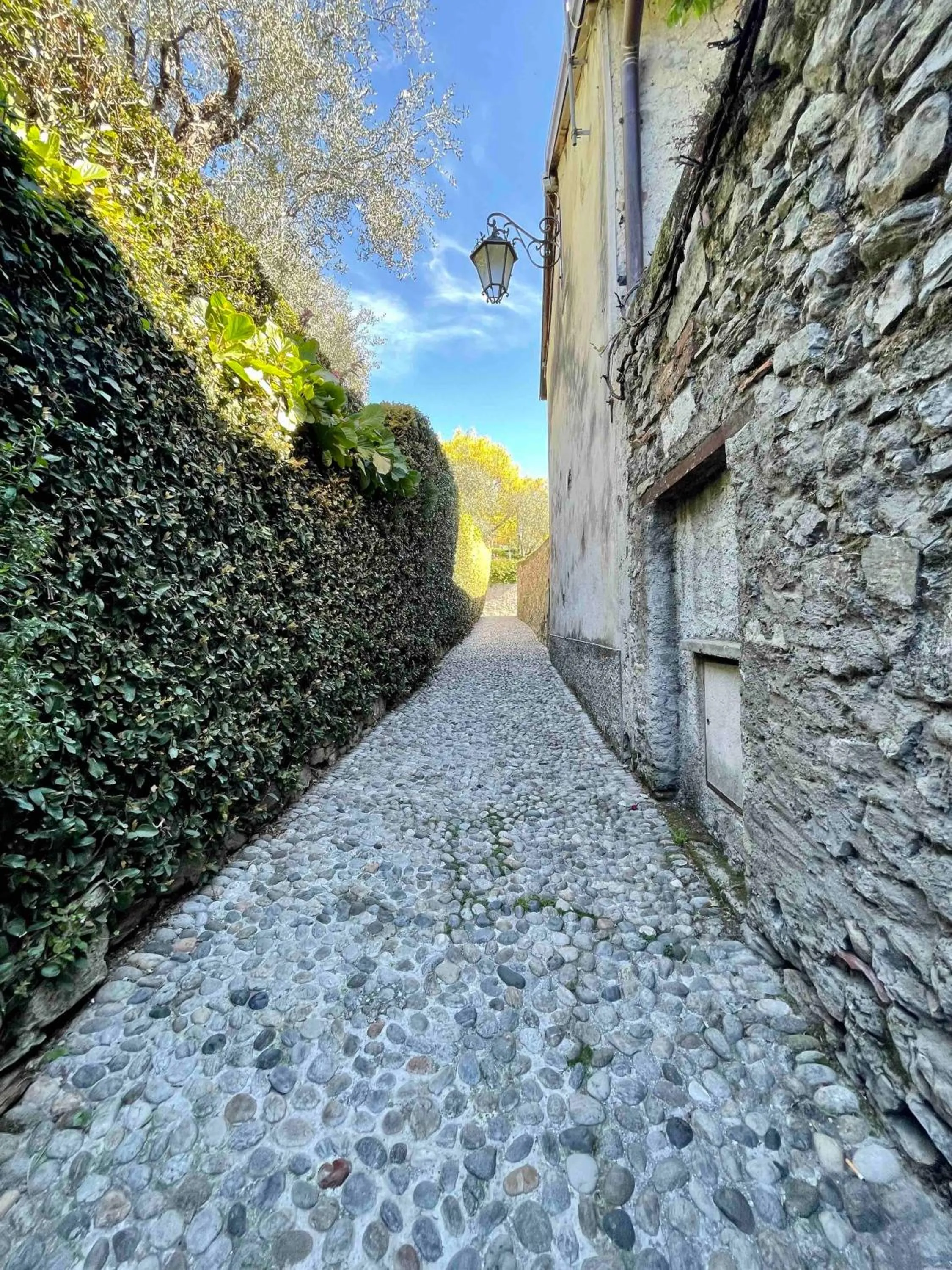 Bellagio Luxury Suites Apartments