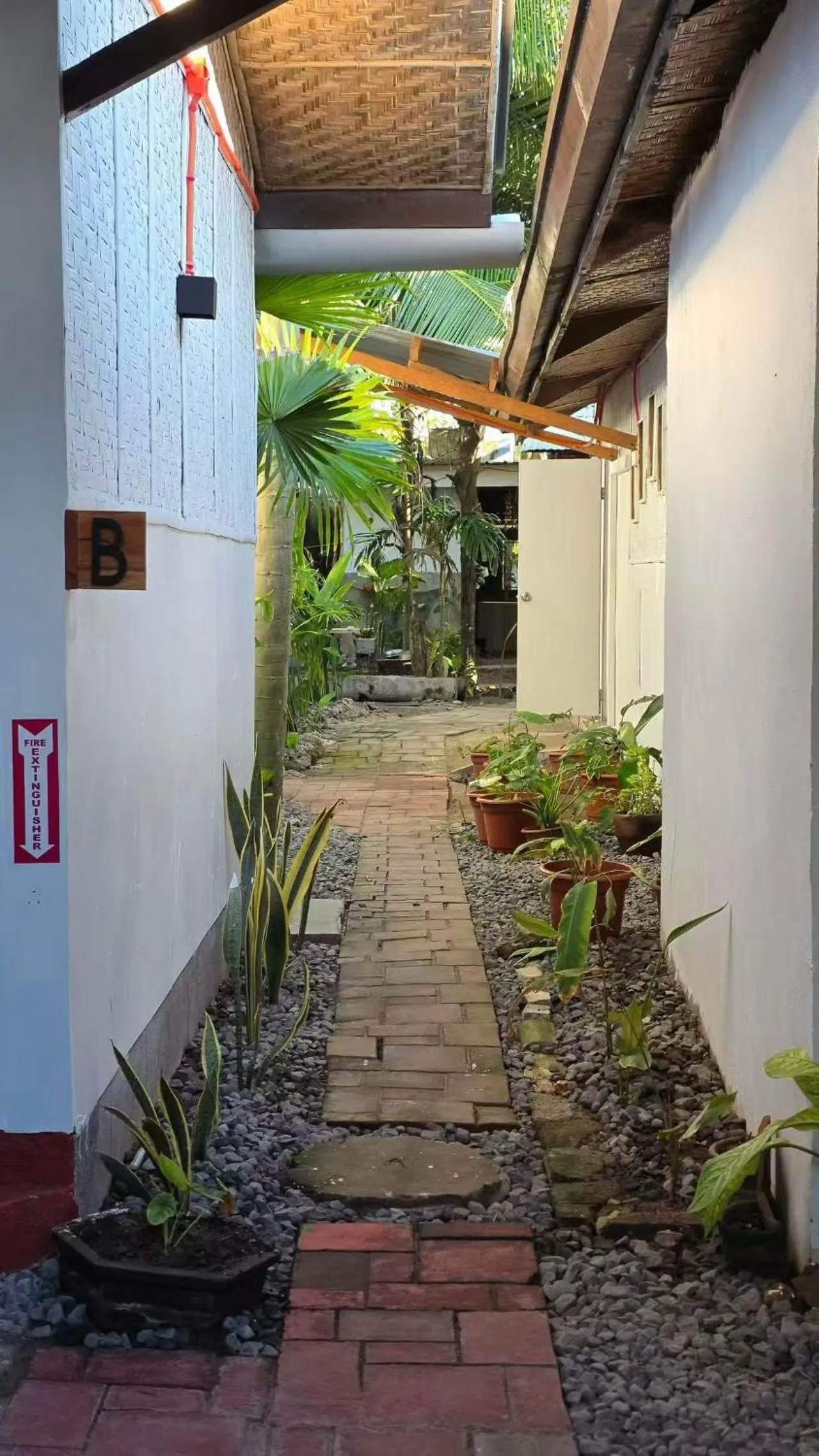 AA Jungle Guesthouse Deluxe