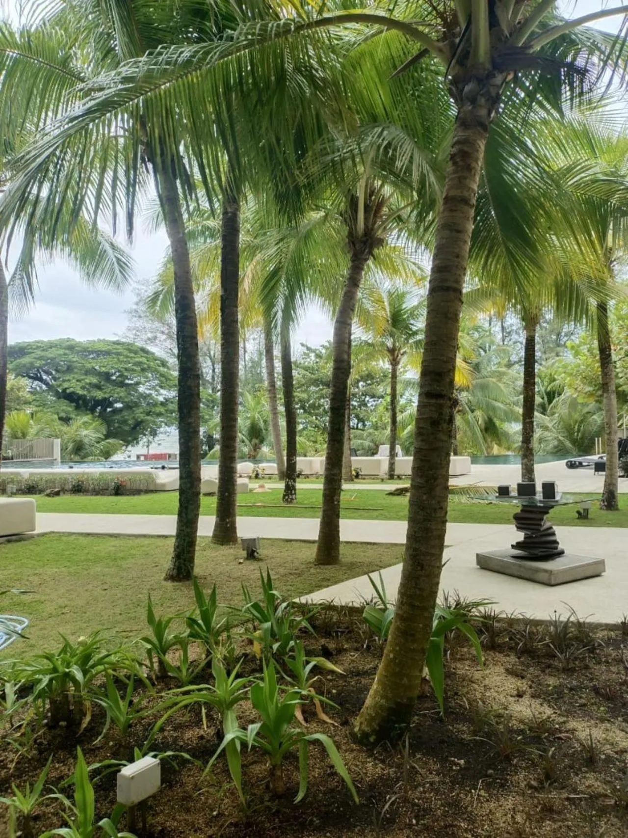 Garden in By The Sea Batu Ferringhi