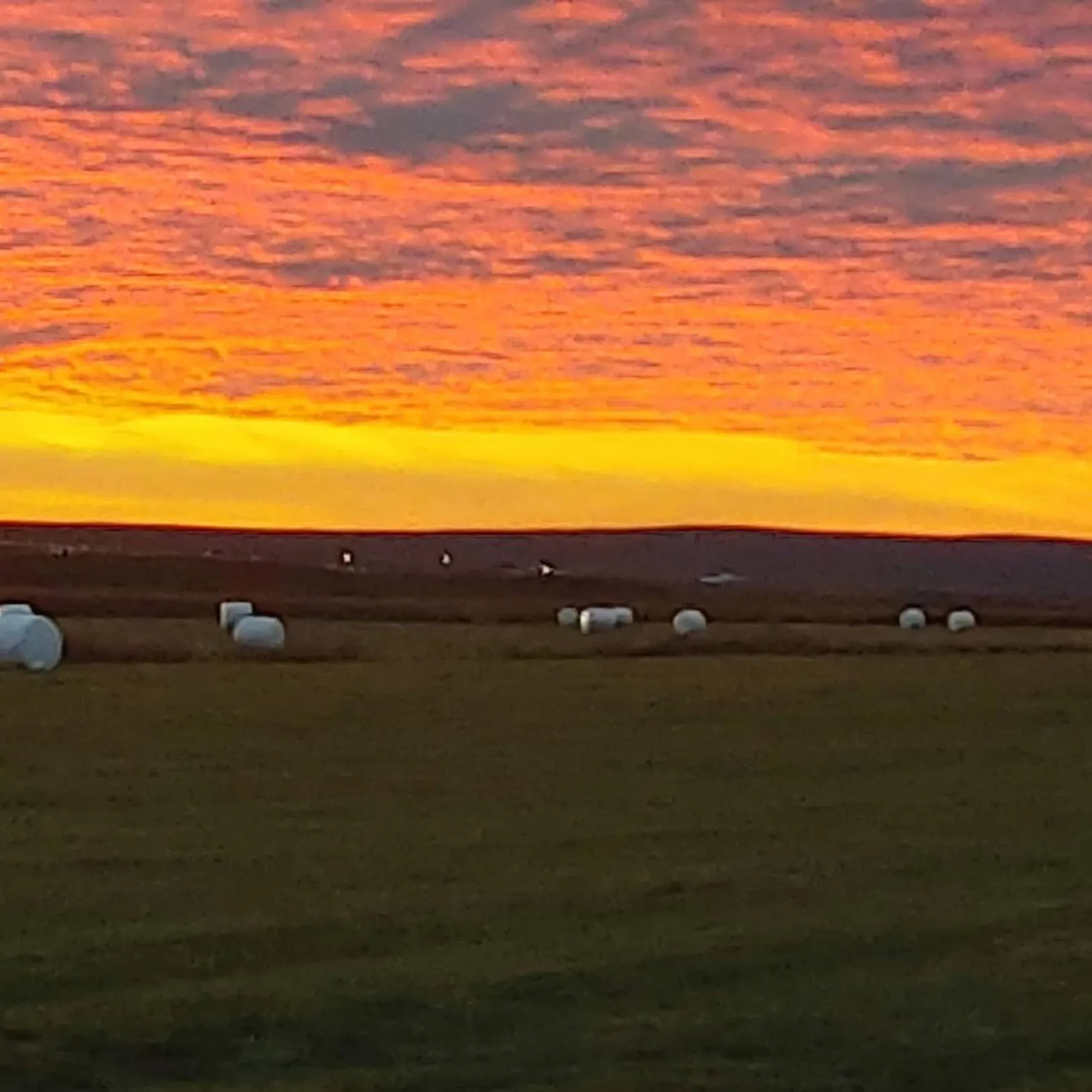 Property building in Hótel Laugarbakki