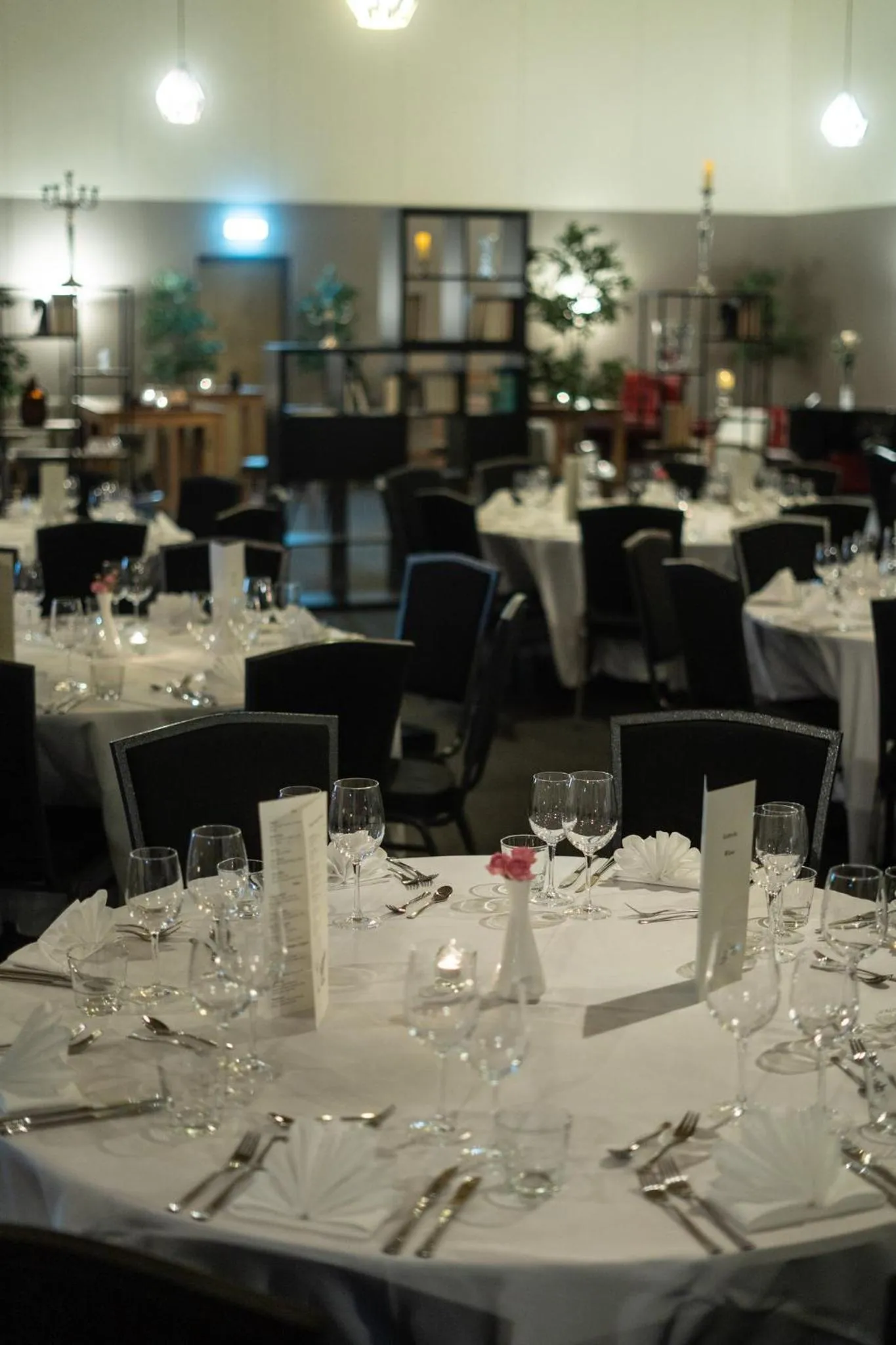 Banquet/Function facilities in Hótel Laugarbakki