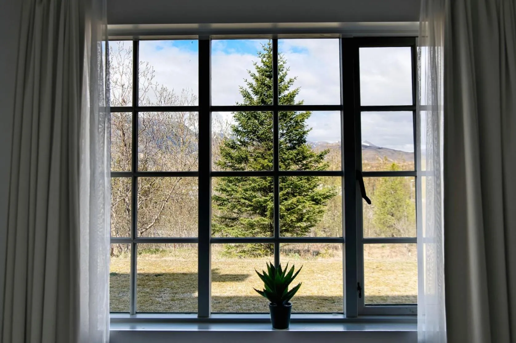 View (from property/room) in Hotel Laxnes