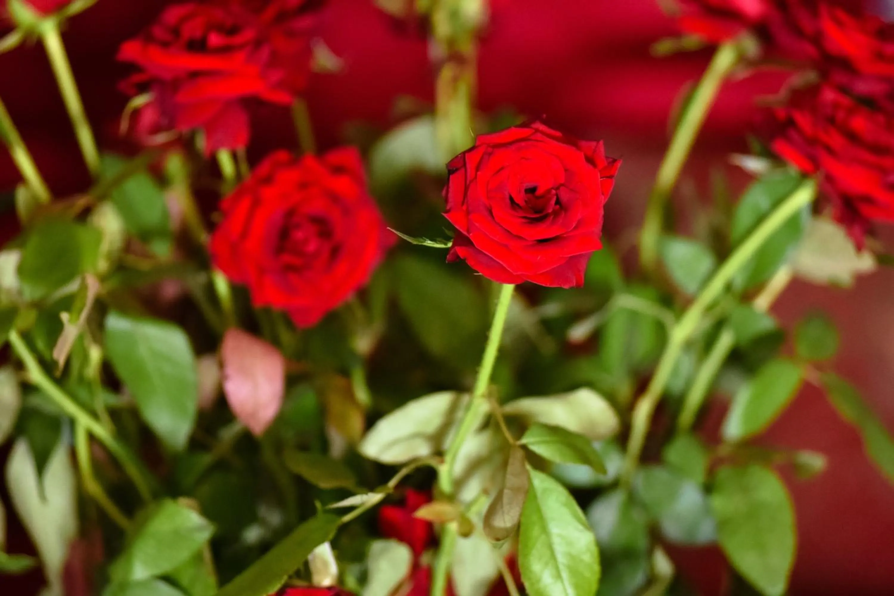 Decorative detail in Riad Yacout