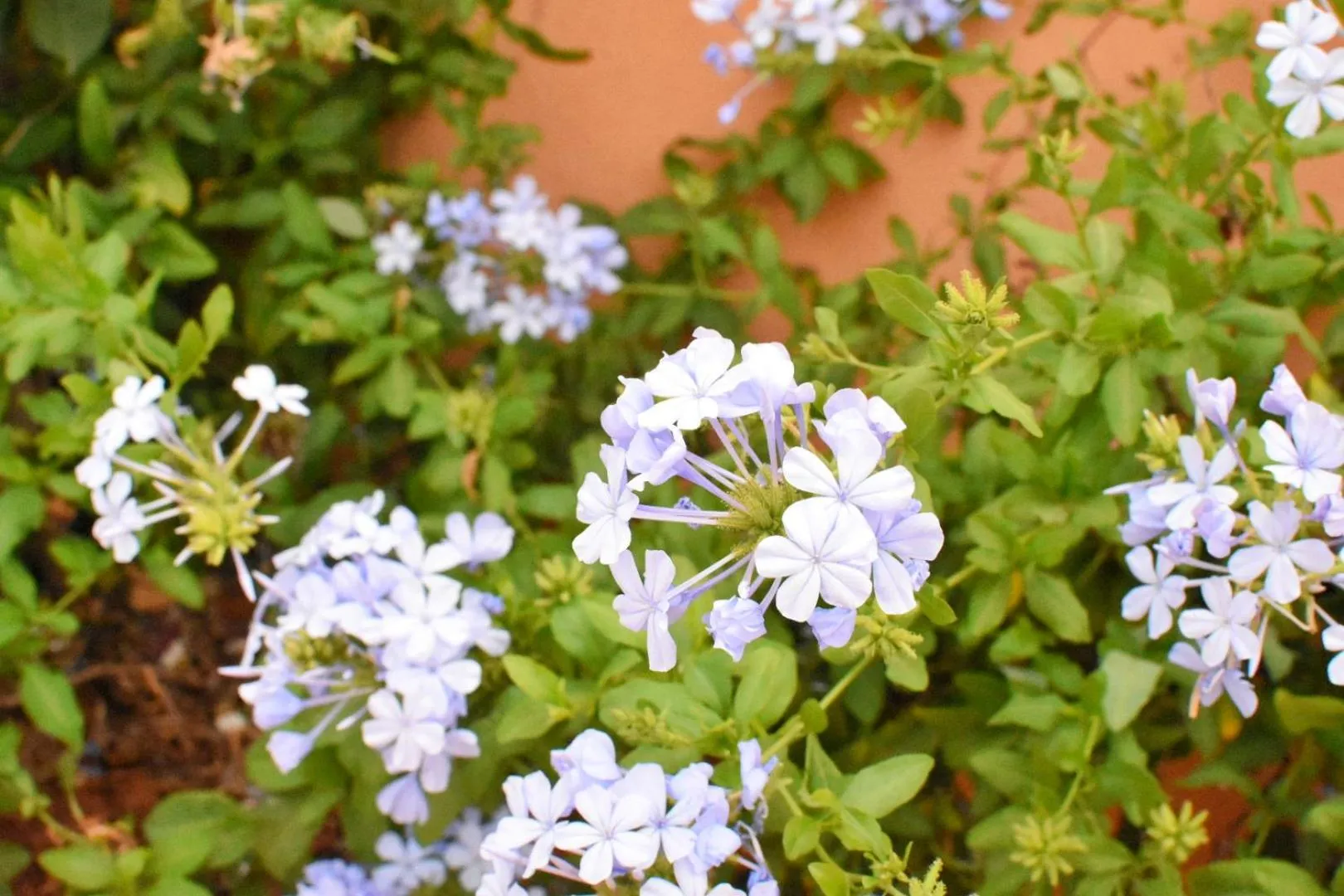 Patio in Riad Yacout