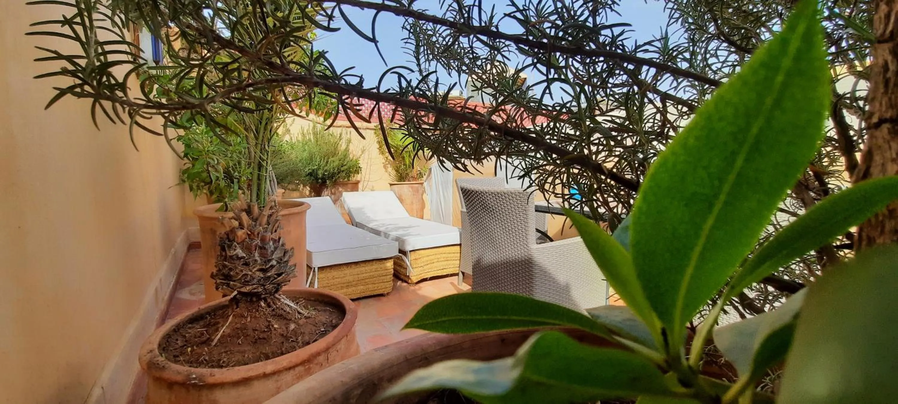 Patio in Riad Dar Zaya