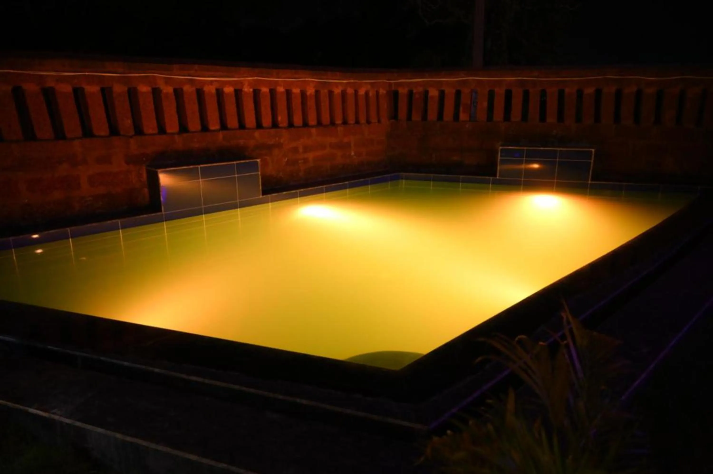 Lobby or reception, Swimming Pool in Bottom Up Villa Bhubaneswar