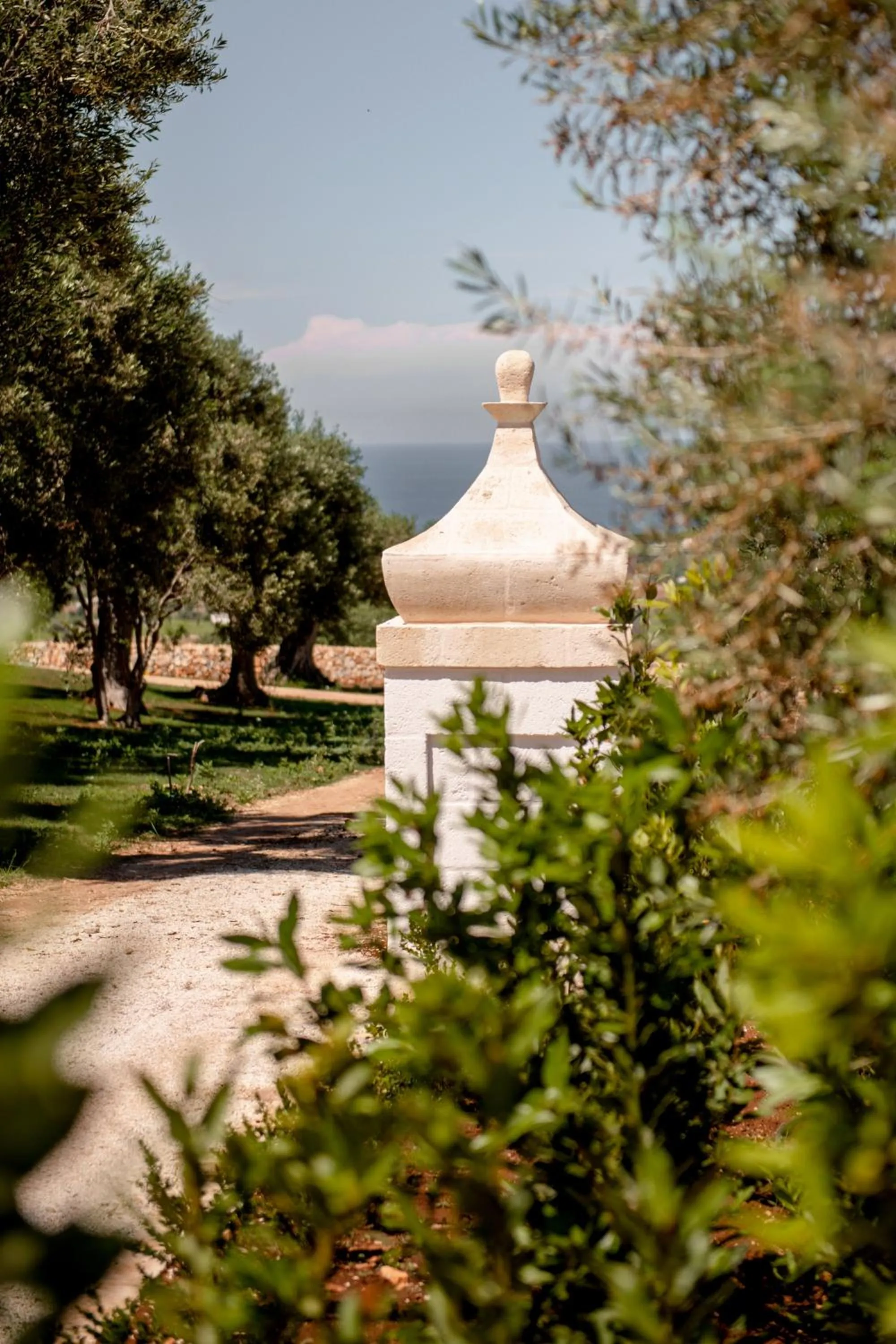 Natural landscape in Masseria Auraterrae