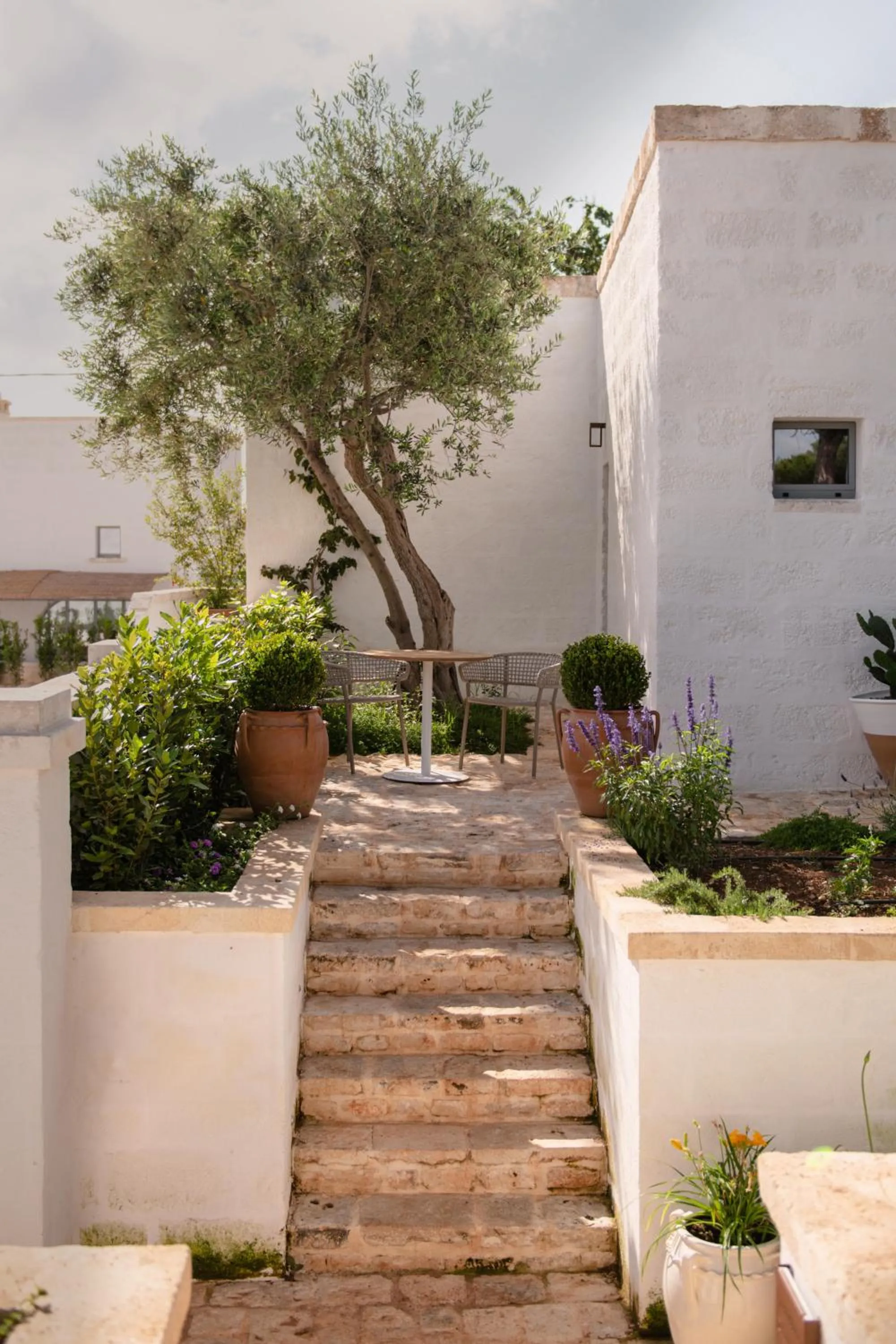 Garden in Masseria Auraterrae