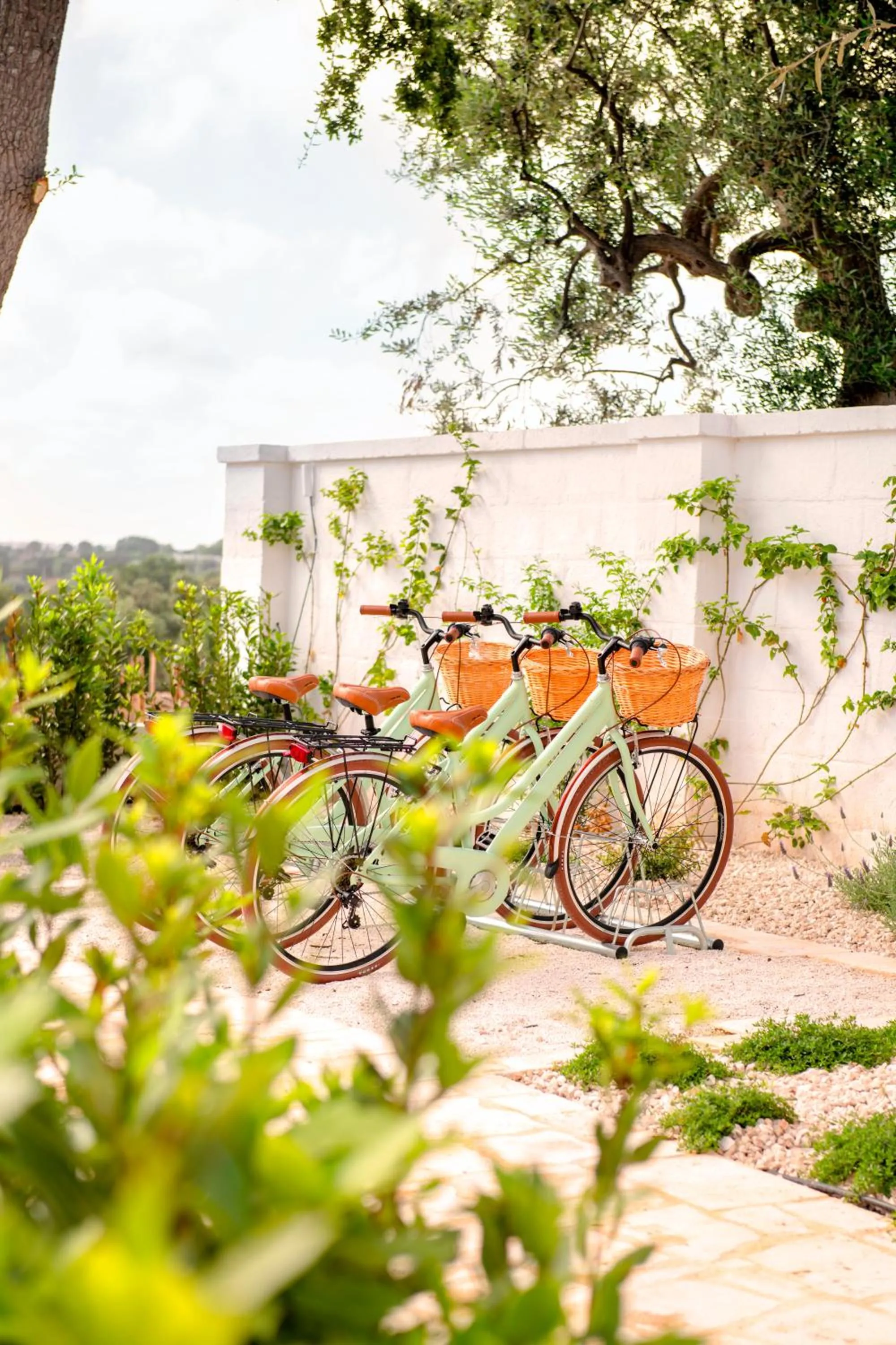 Cycling in Masseria Auraterrae