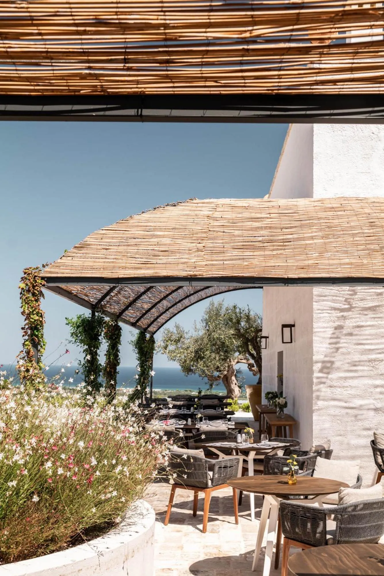Restaurant/places to eat in Masseria Auraterrae