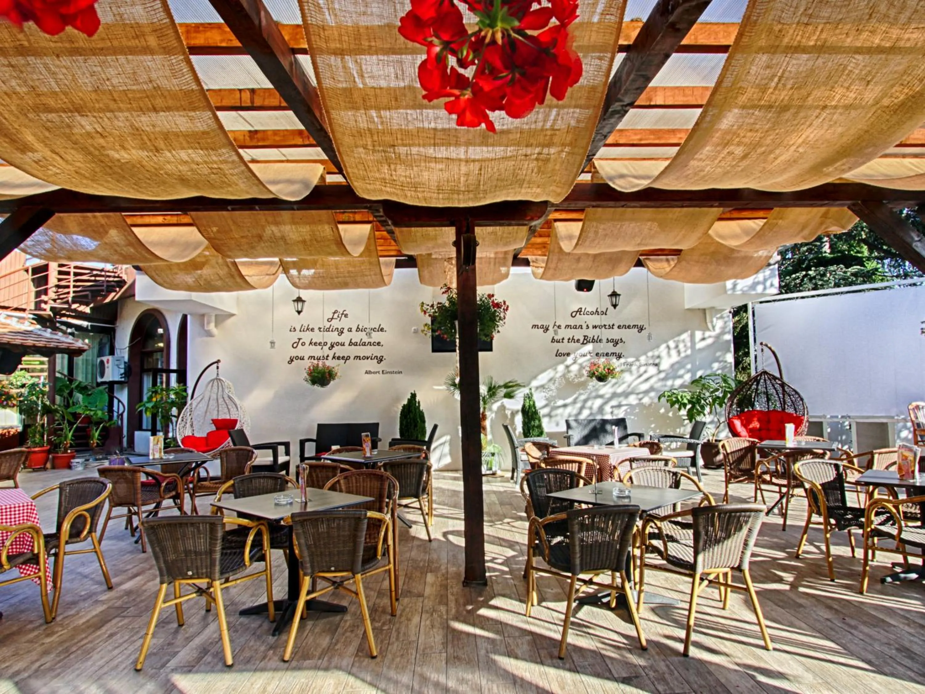 Restaurant/places to eat in Hotel Petrus