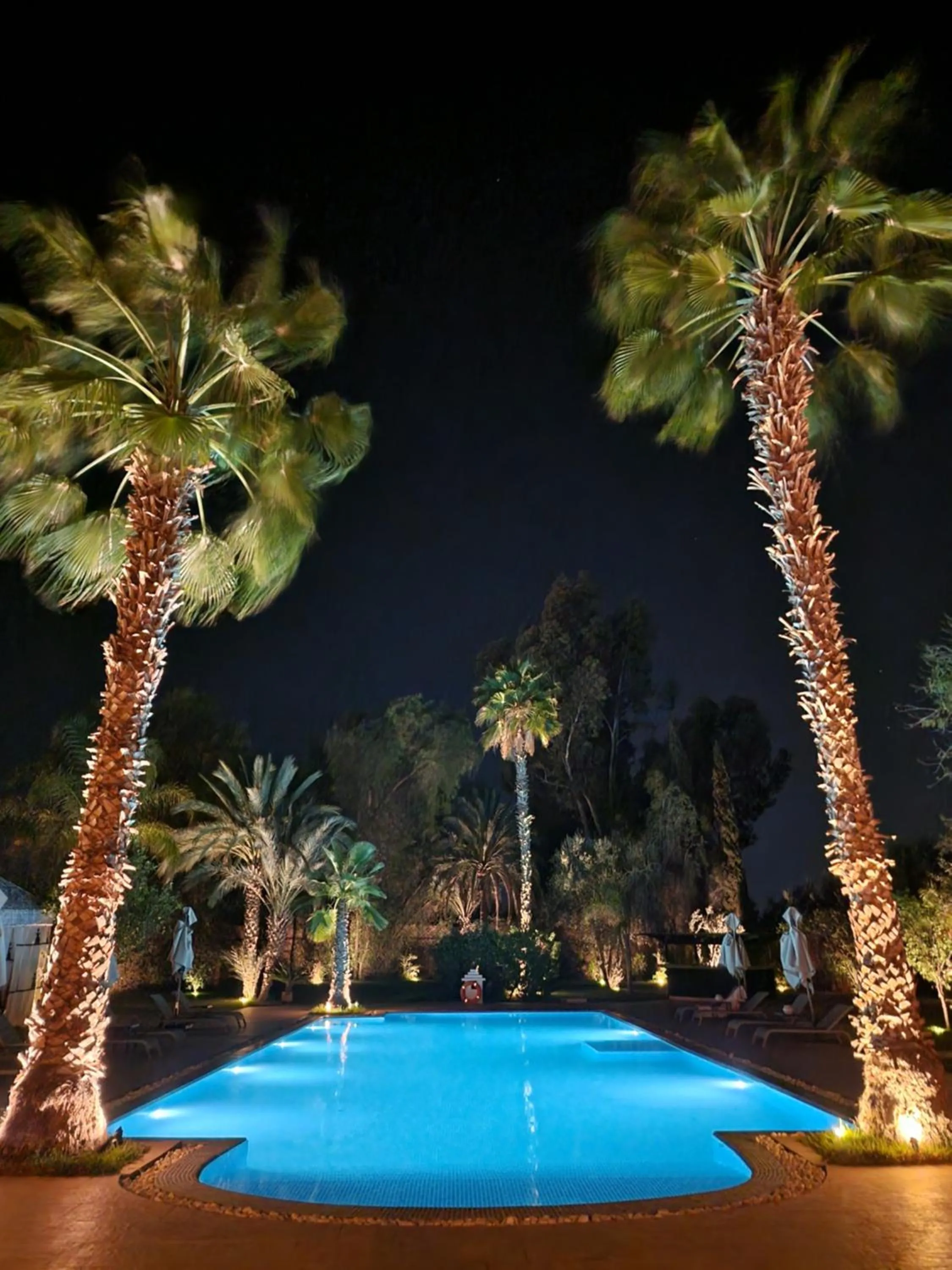 Night in Palace Africa - Marrakech Palmeraie