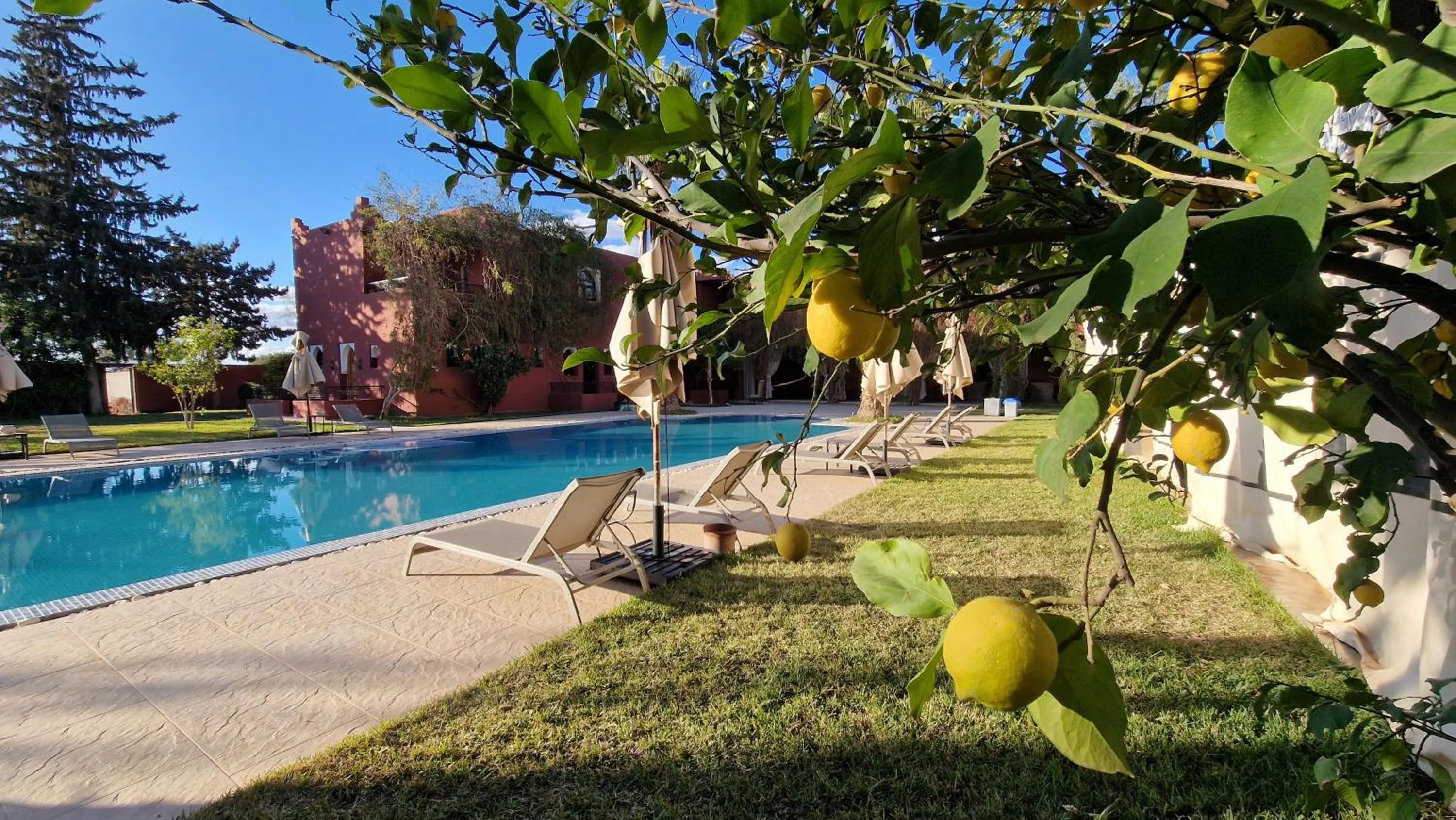 Swimming pool in Palace Africa - Marrakech Palmeraie