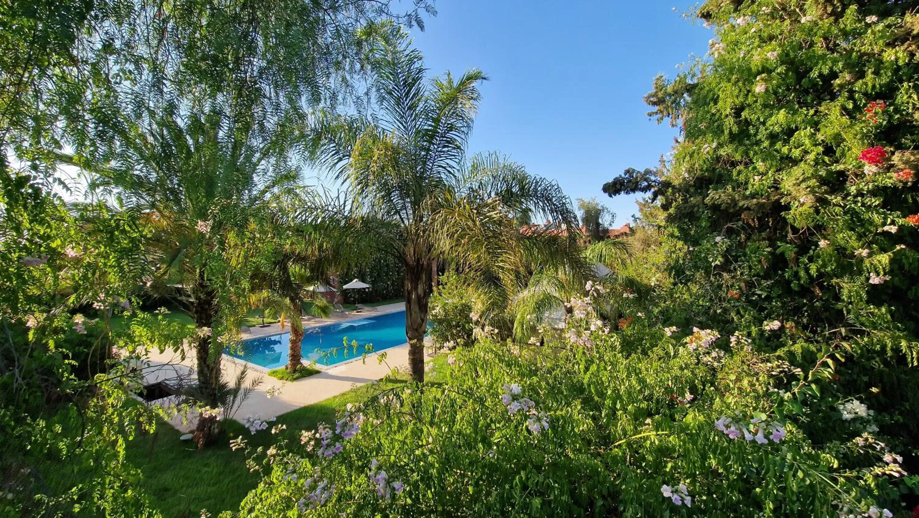 Pool view in Palace Africa - Marrakech Palmeraie