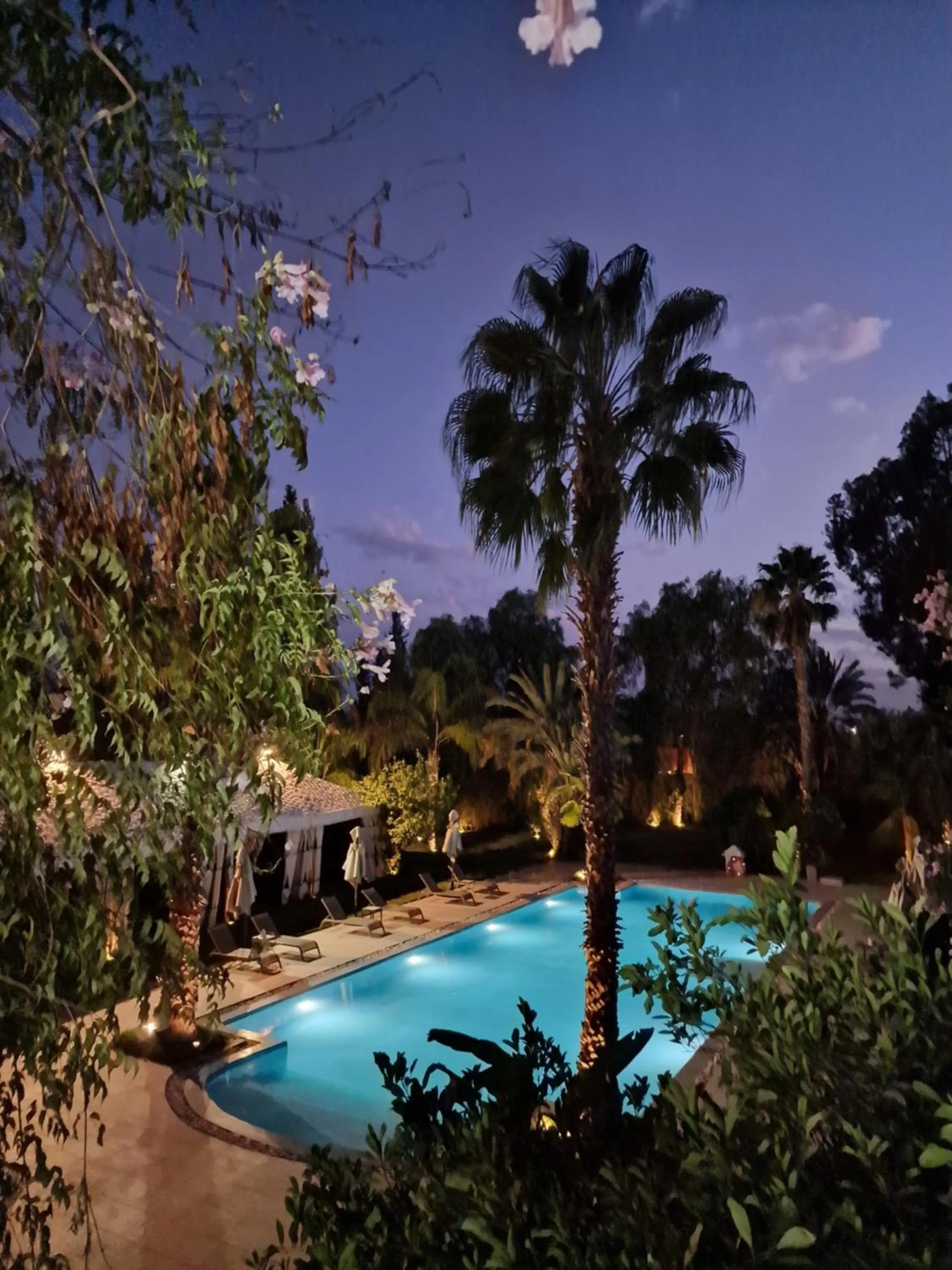 Night in Palace Africa - Marrakech Palmeraie