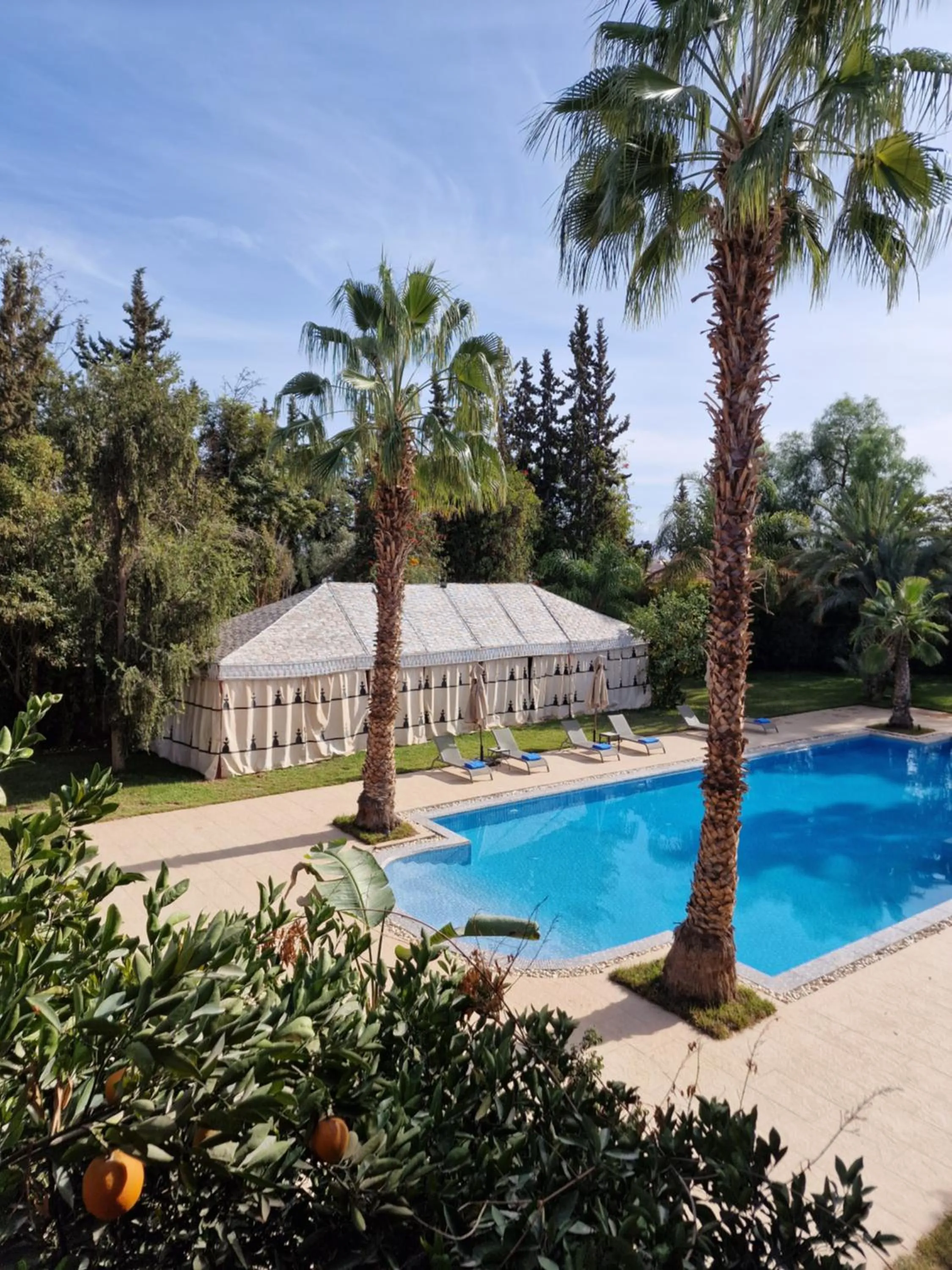 Pool view in Palace Africa - Marrakech Palmeraie