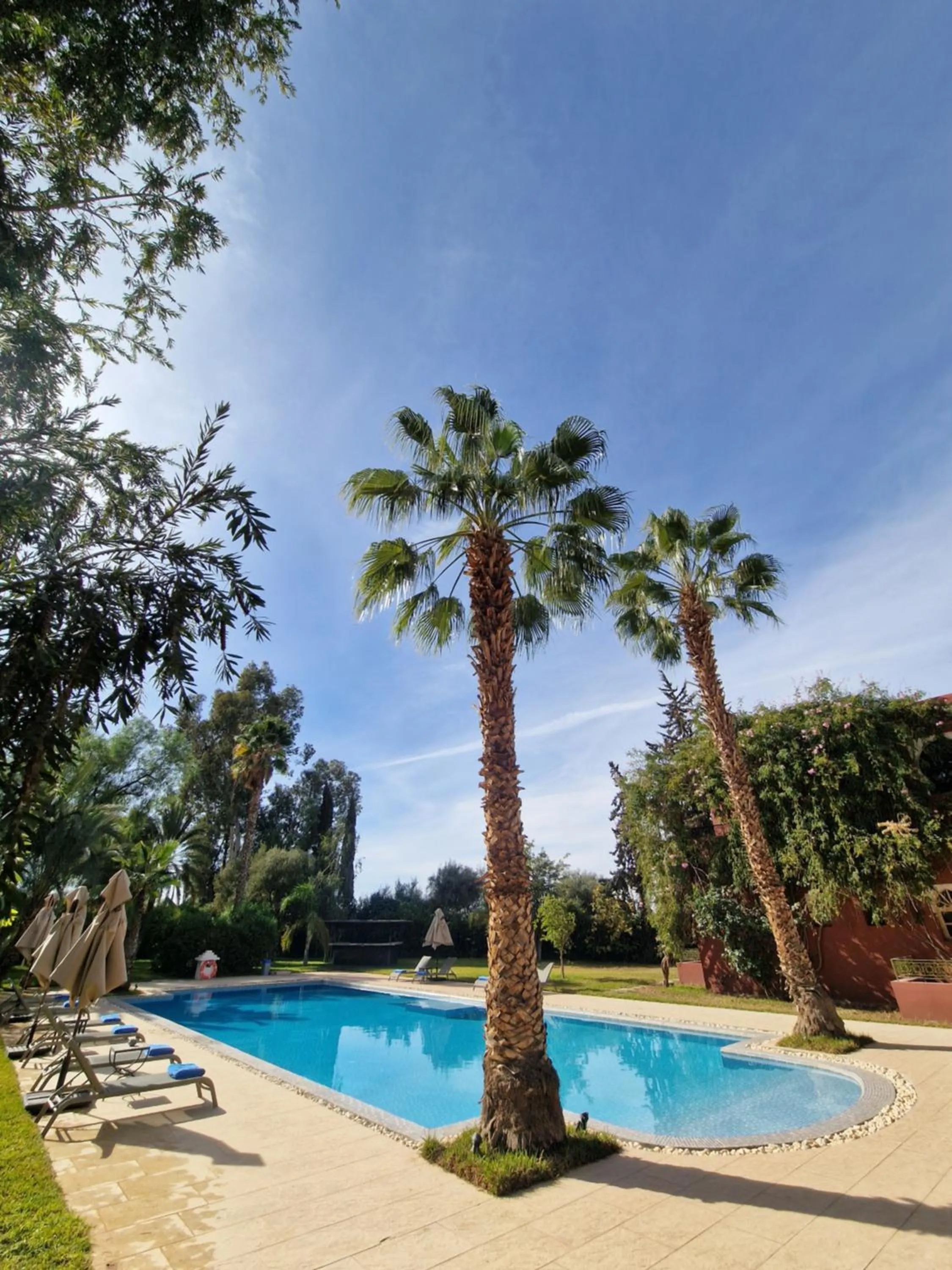 Swimming pool in Palace Africa - Marrakech Palmeraie