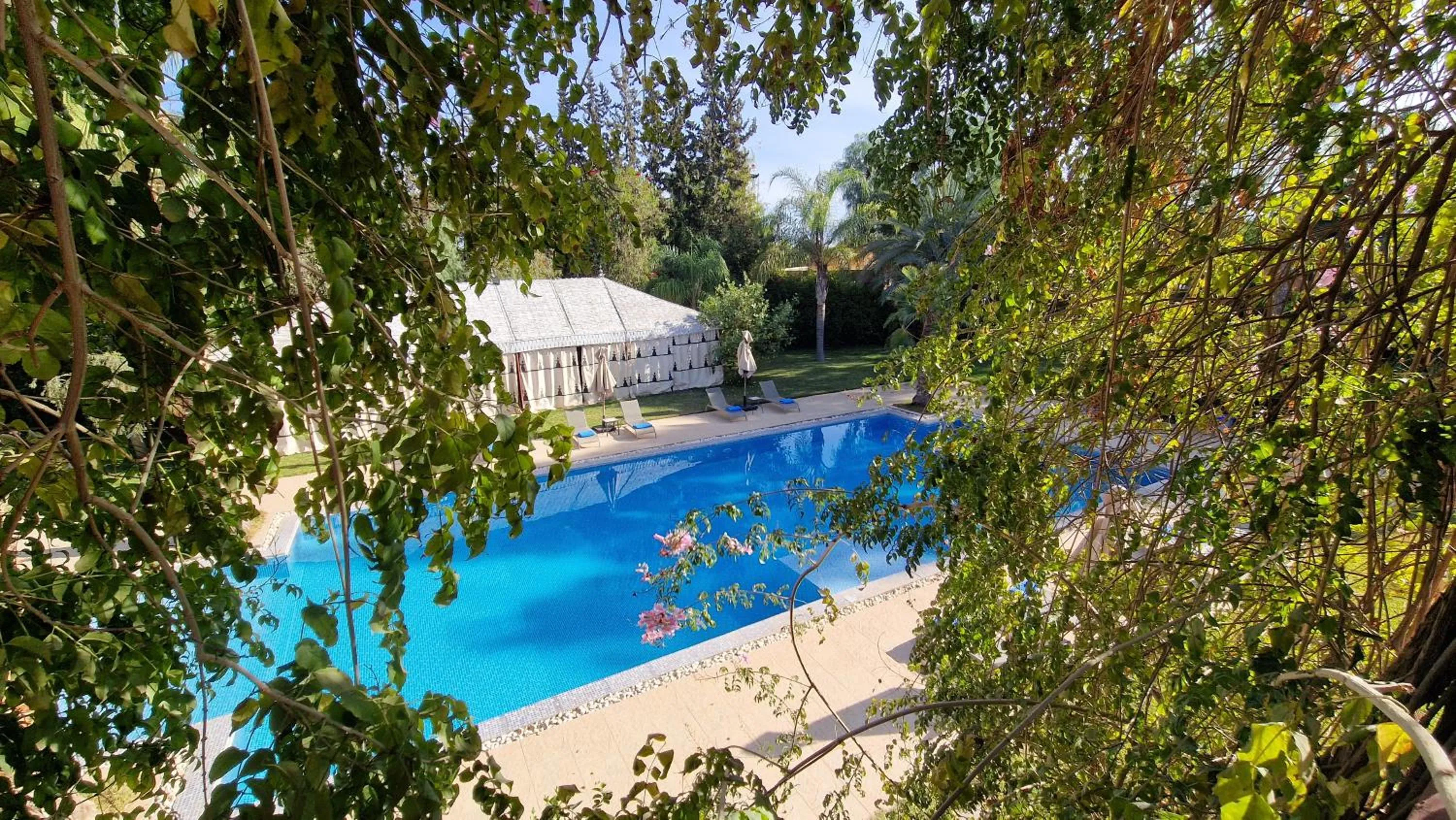 Pool view in Palace Africa - Marrakech Palmeraie