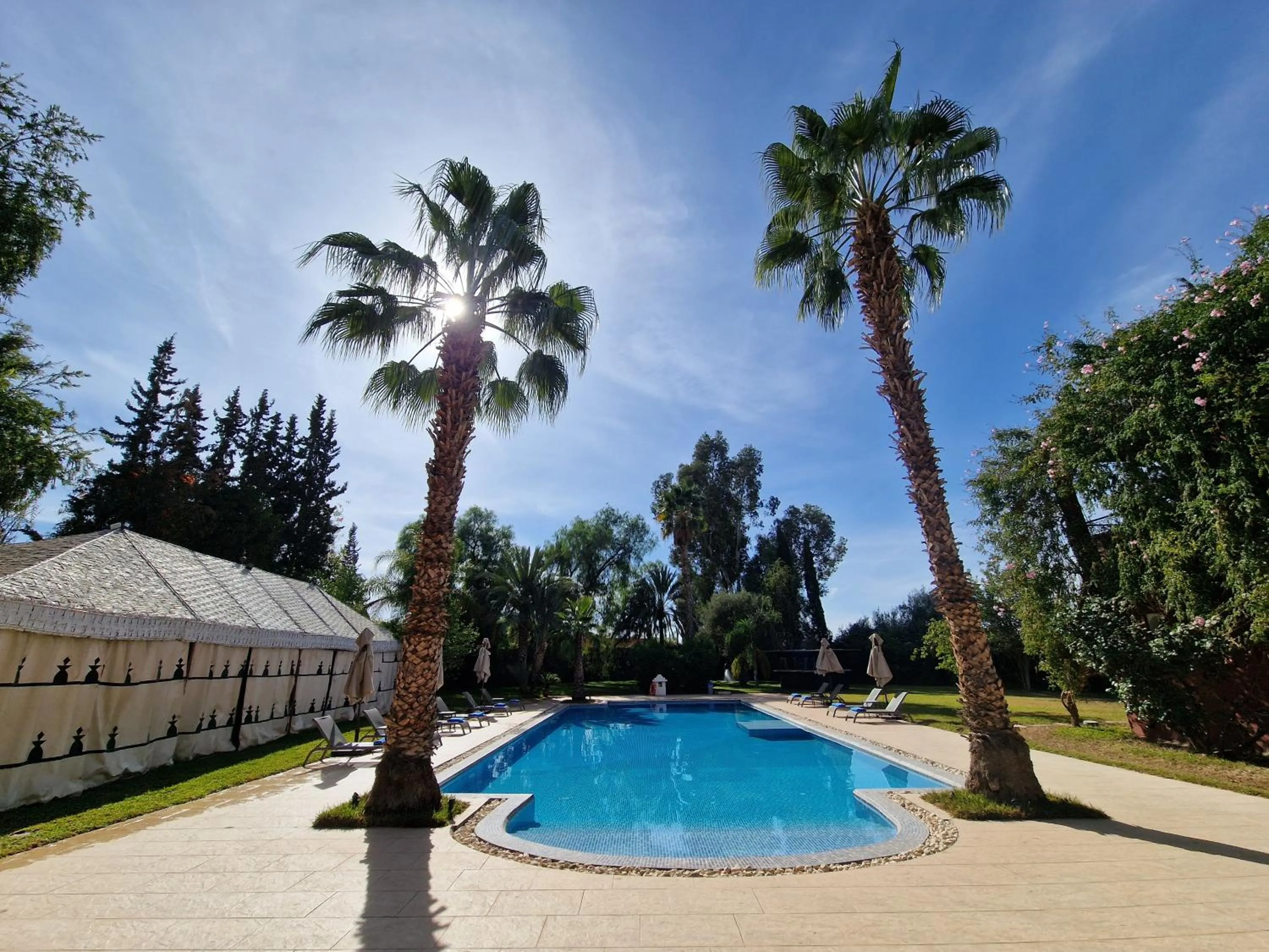 Pool view in Palace Africa - Marrakech Palmeraie
