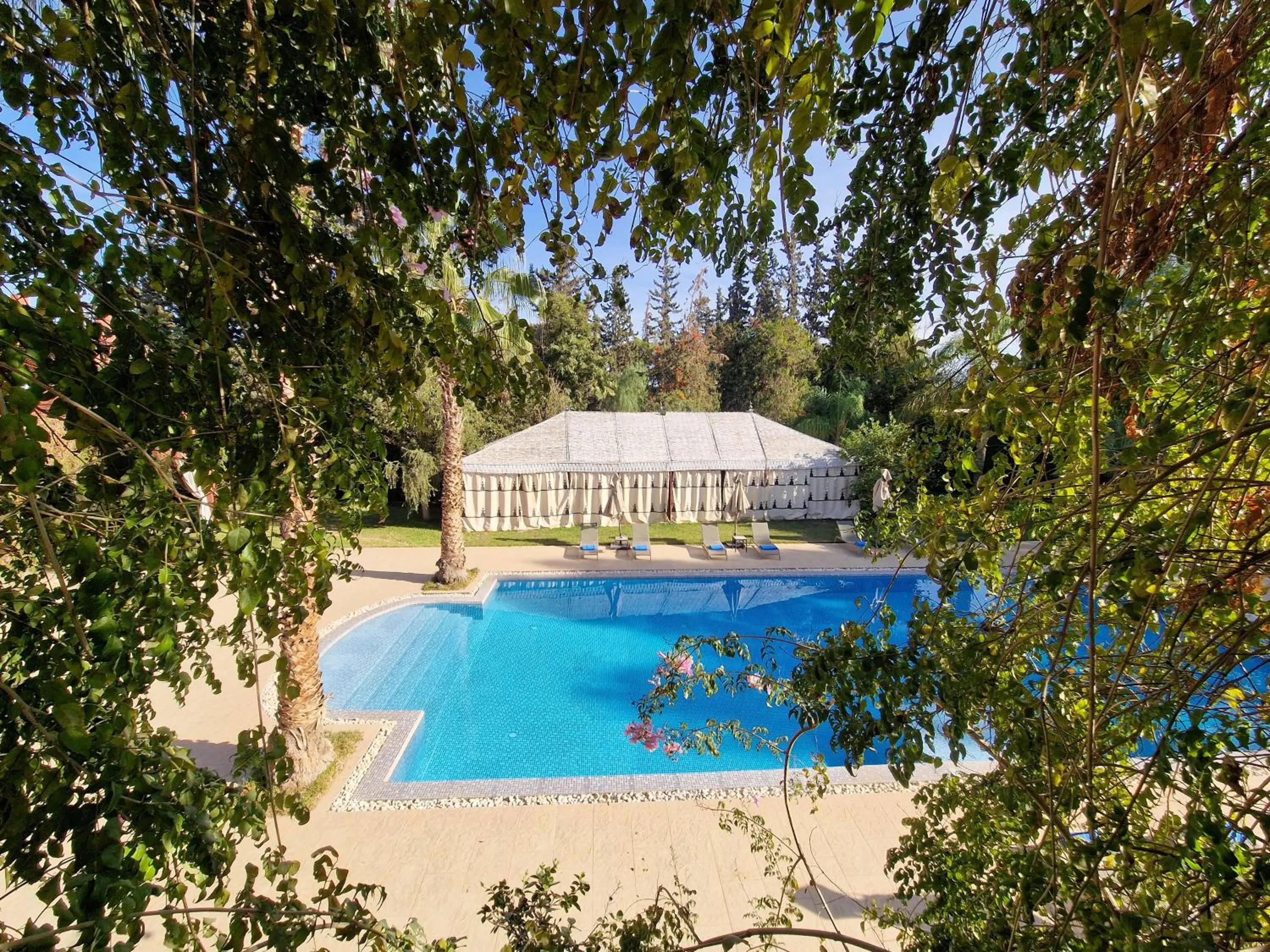 Pool view in Palace Africa - Marrakech Palmeraie