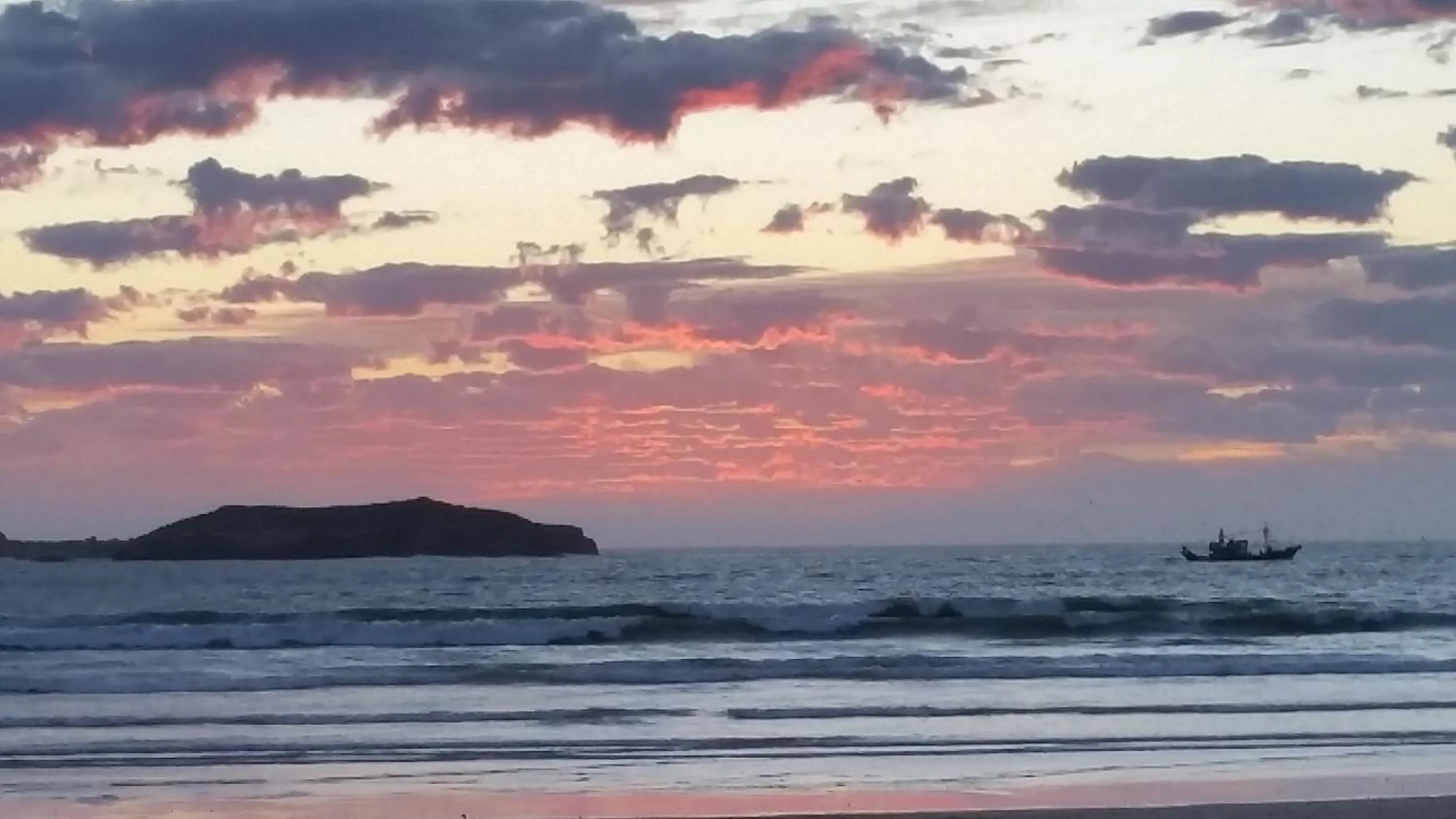 Natural landscape in Riad Al Zahia