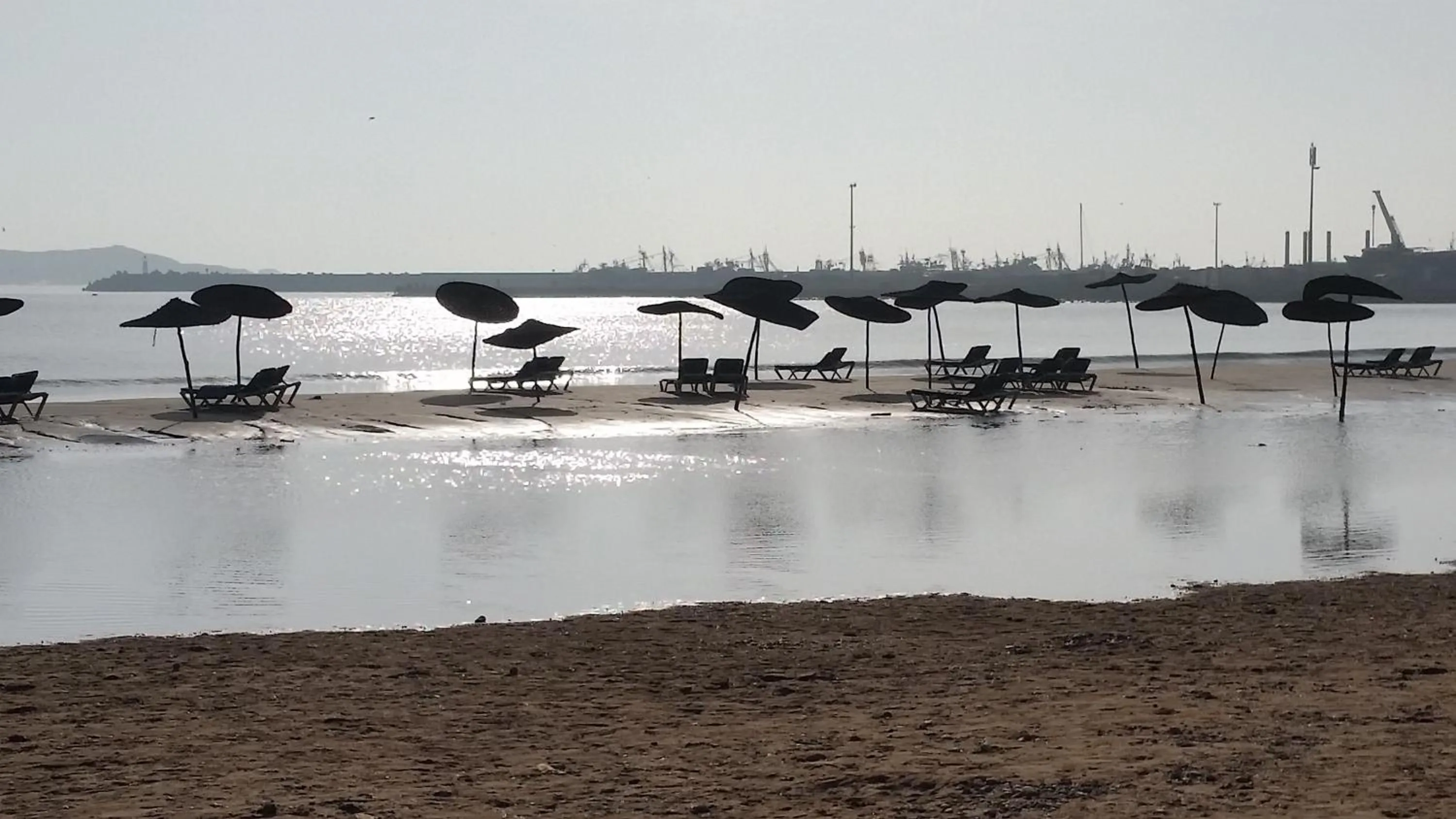 Natural landscape in Riad Al Zahia
