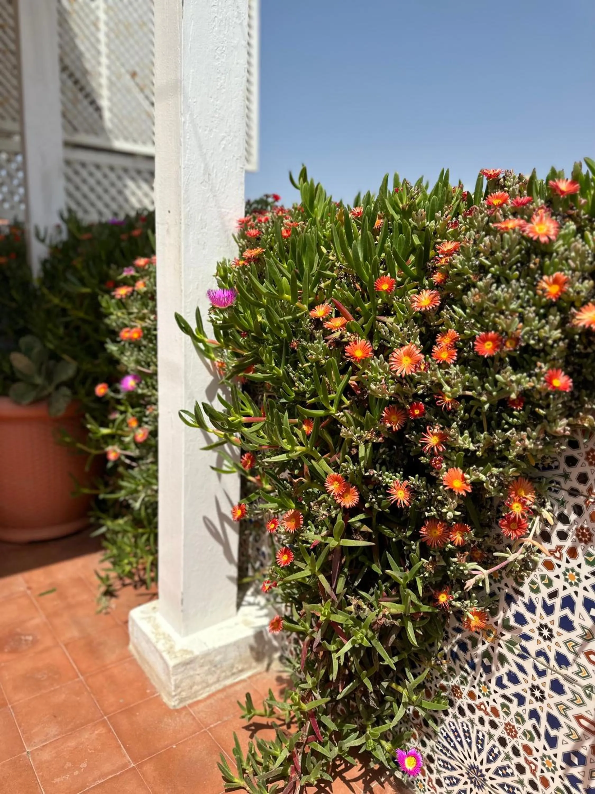 Balcony/Terrace in Riad Al Zahia
