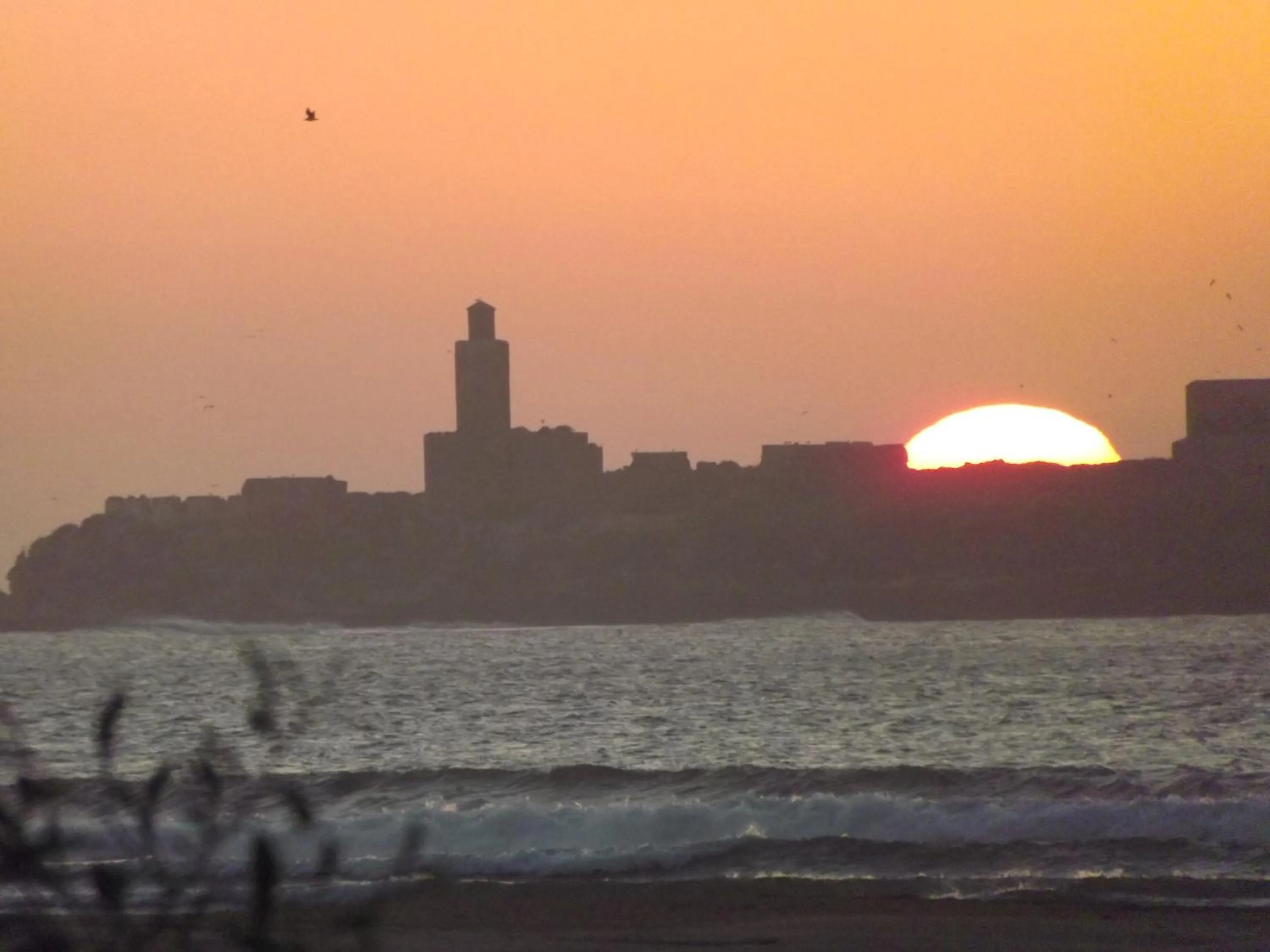 Off site in Riad Al Zahia