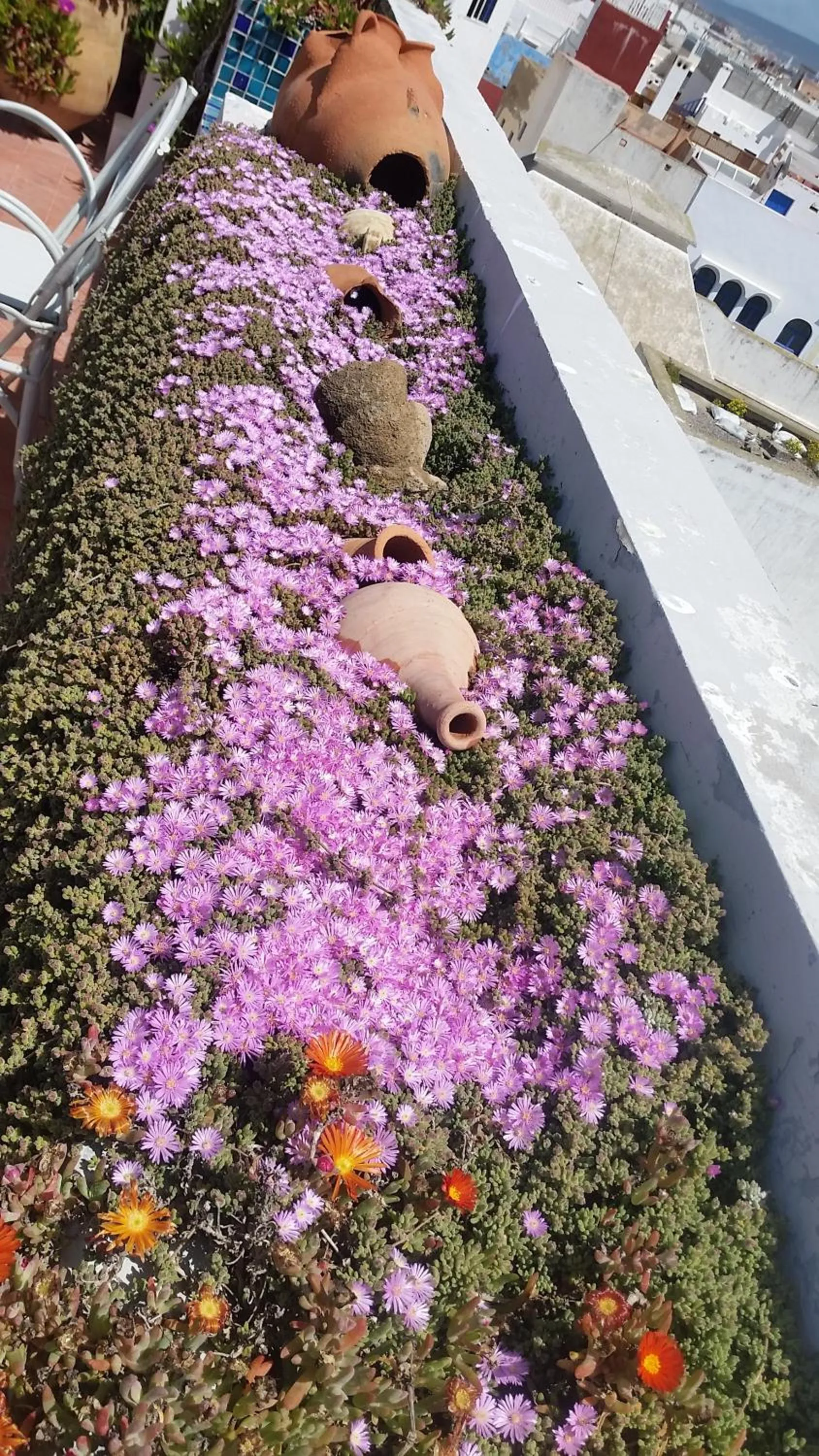 Balcony/Terrace in Riad Al Zahia