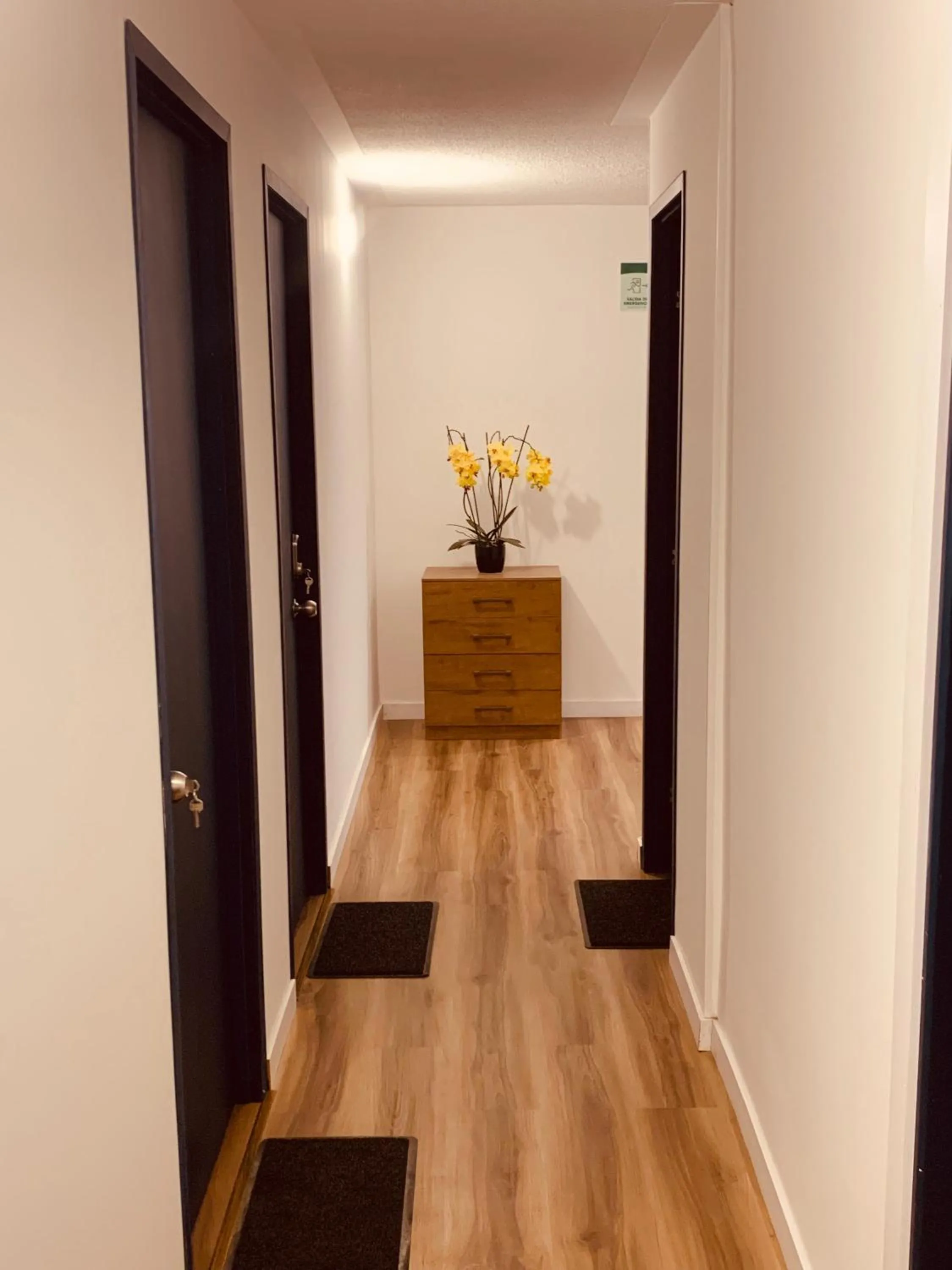 Area and facilities in CASA CREAZZO 62 - Movistar Arena, Vive Claro