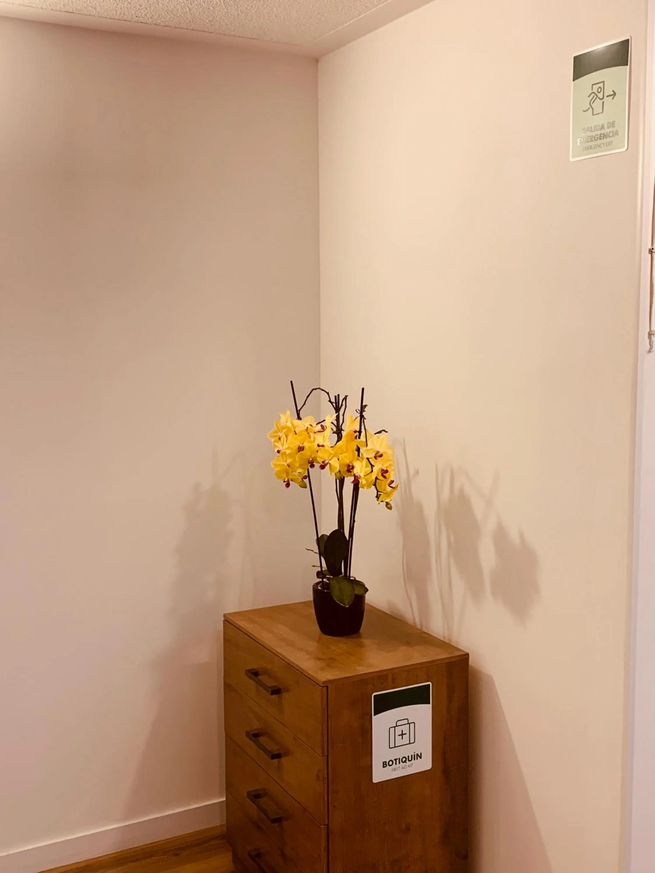 Area and facilities in CASA CREAZZO 62 - Movistar Arena, Vive Claro