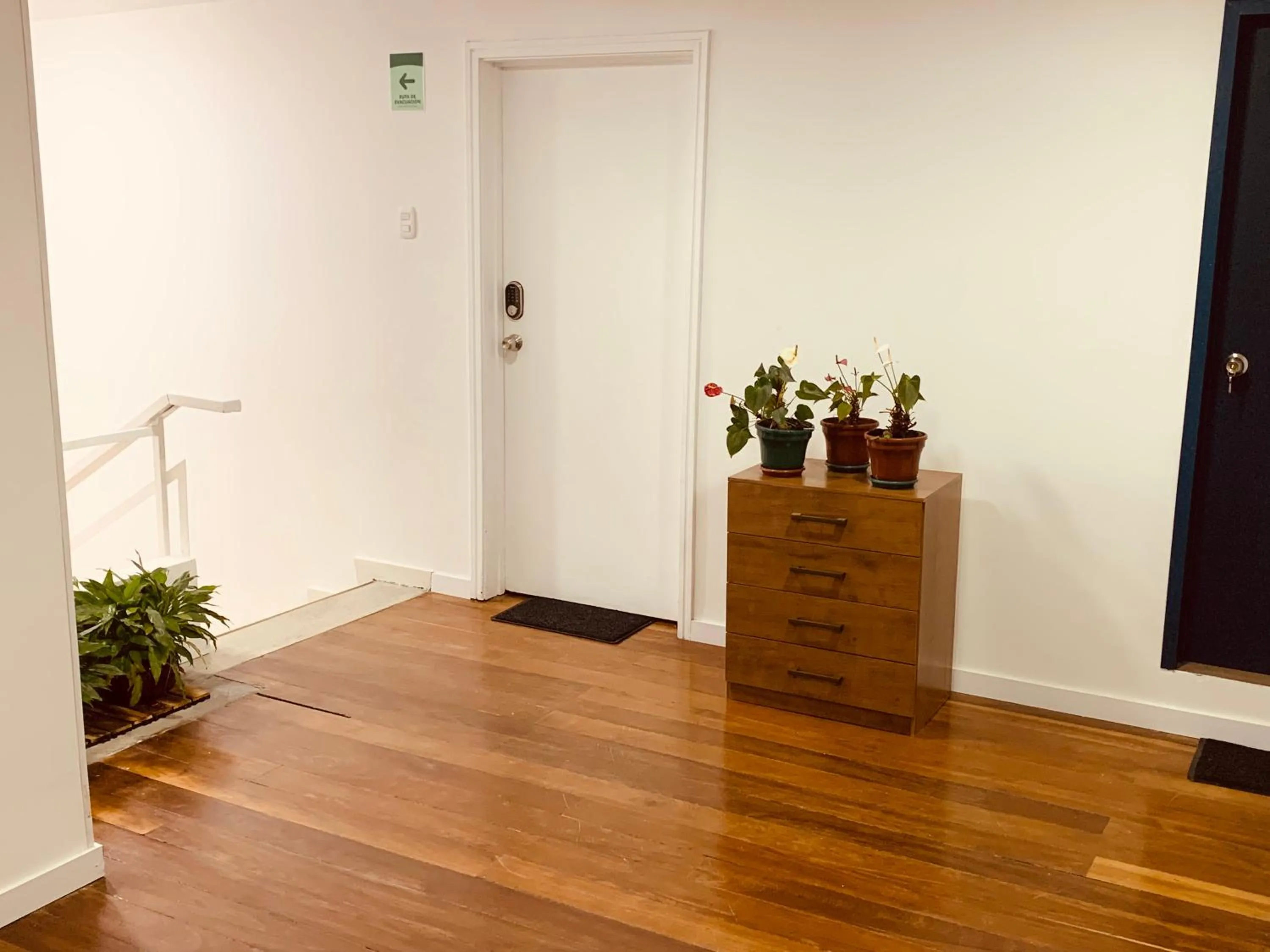 Area and facilities in CASA CREAZZO 62 - Movistar Arena, Vive Claro