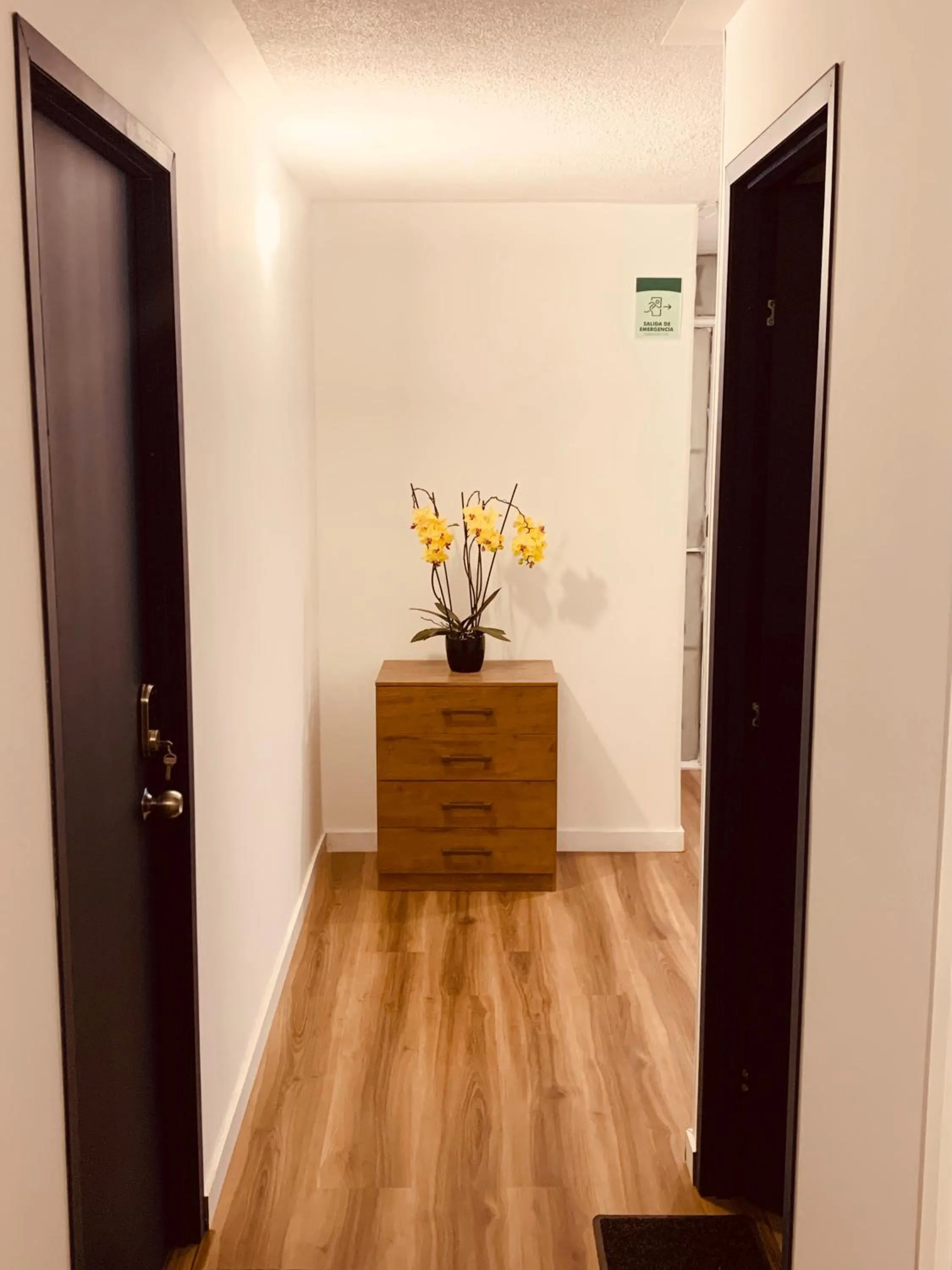 Area and facilities in CASA CREAZZO 62 - Movistar Arena, Vive Claro