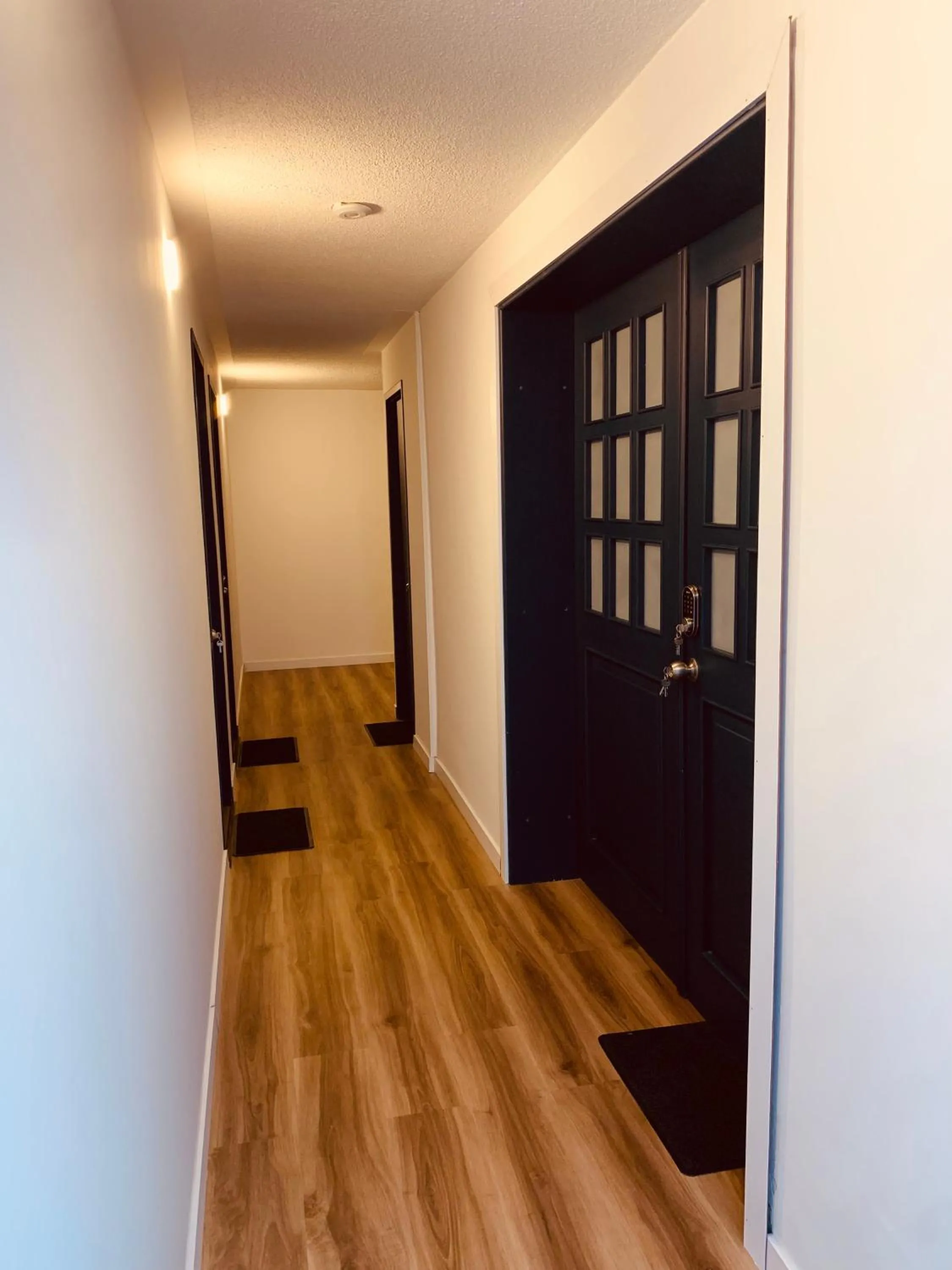 Area and facilities in CASA CREAZZO 62 - Movistar Arena, Vive Claro