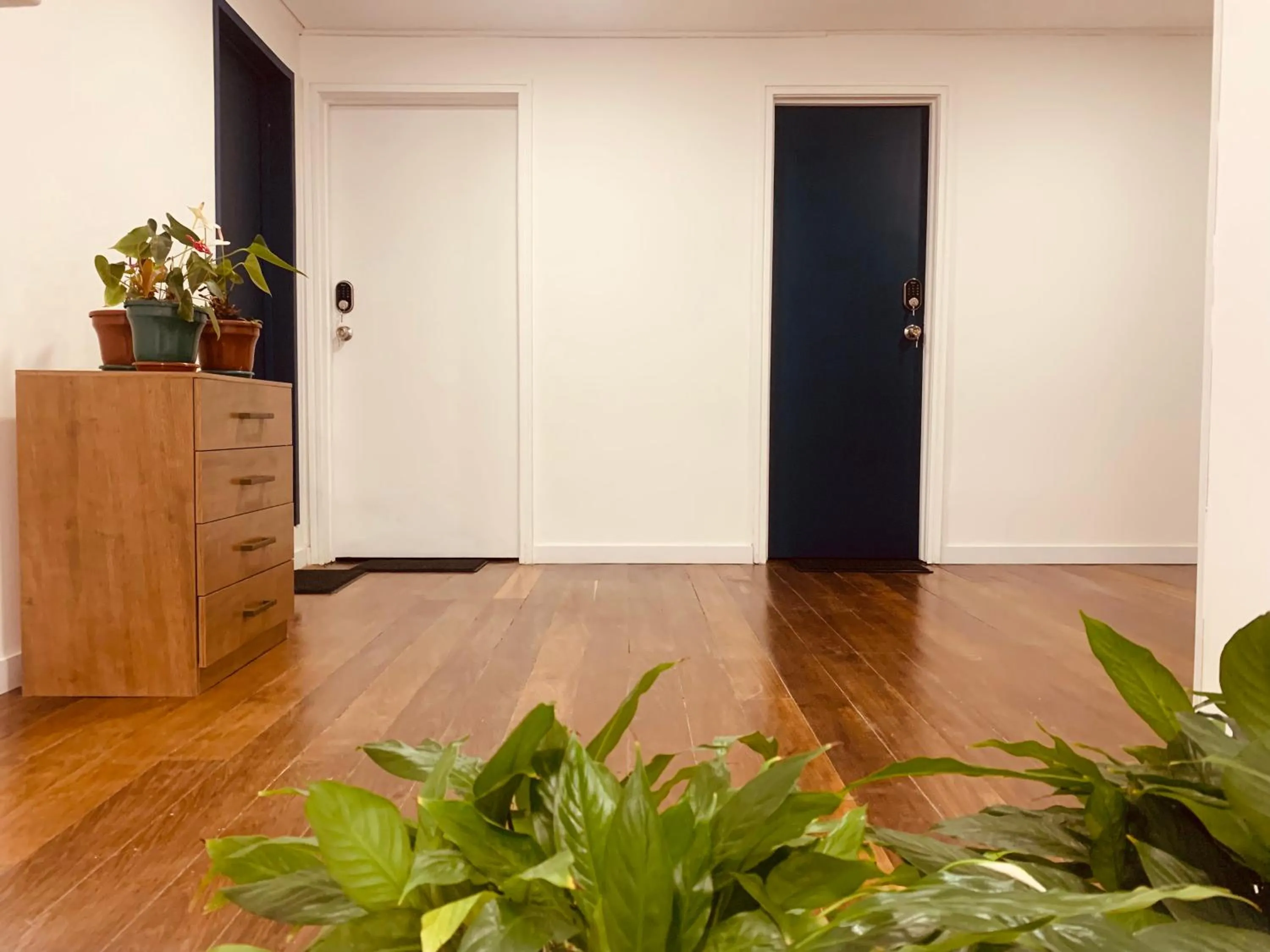 Area and facilities in CASA CREAZZO 62 - Movistar Arena, Vive Claro