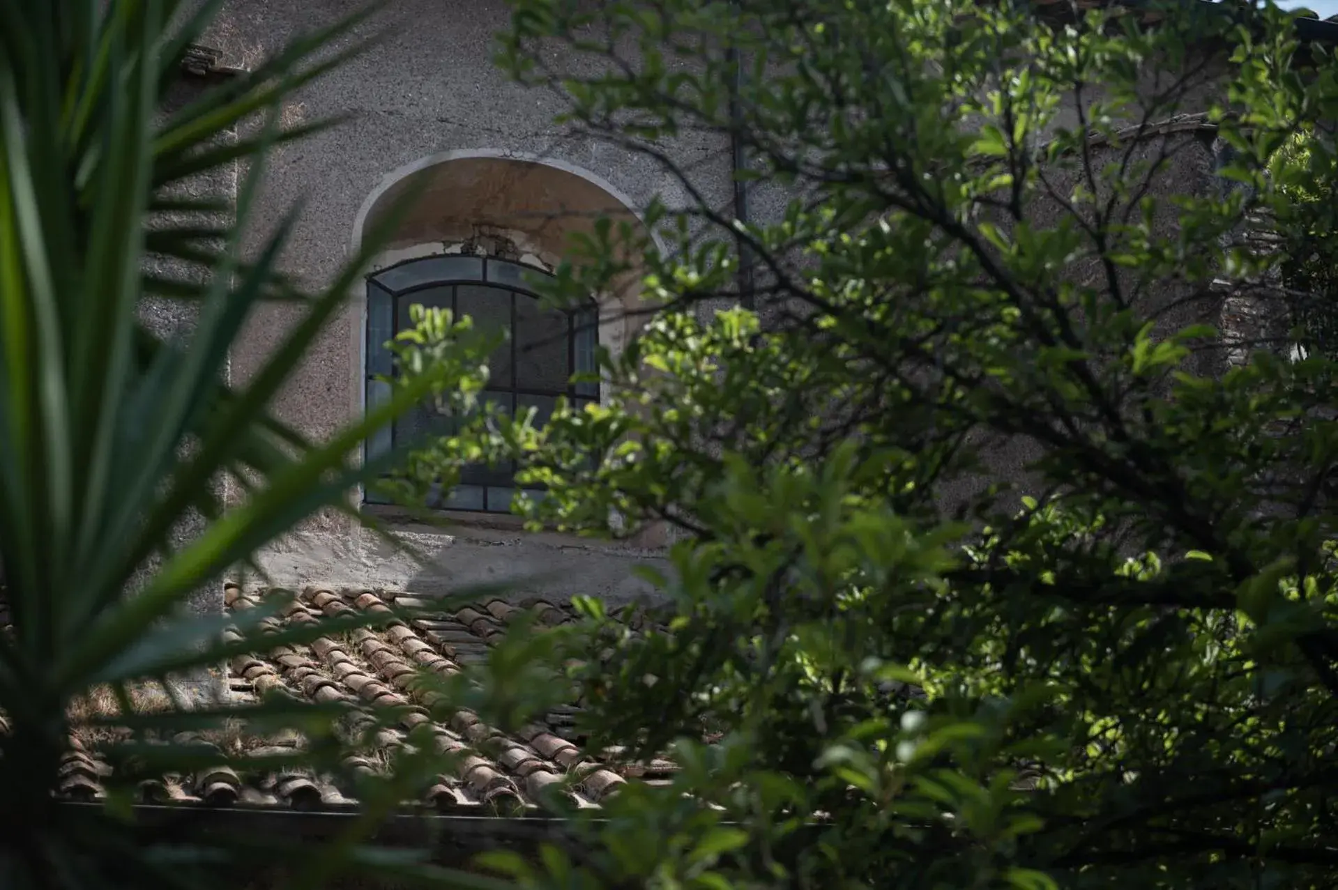 Inner courtyard view in The Sanctuary Urban Retreat Inner courtyard view in The Sanctuary Urban Retreat