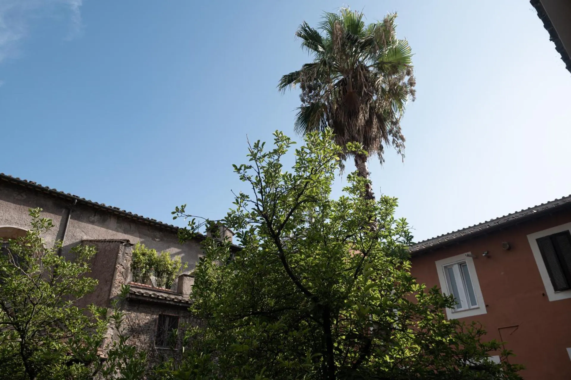Inner courtyard view in The Sanctuary Urban Retreat