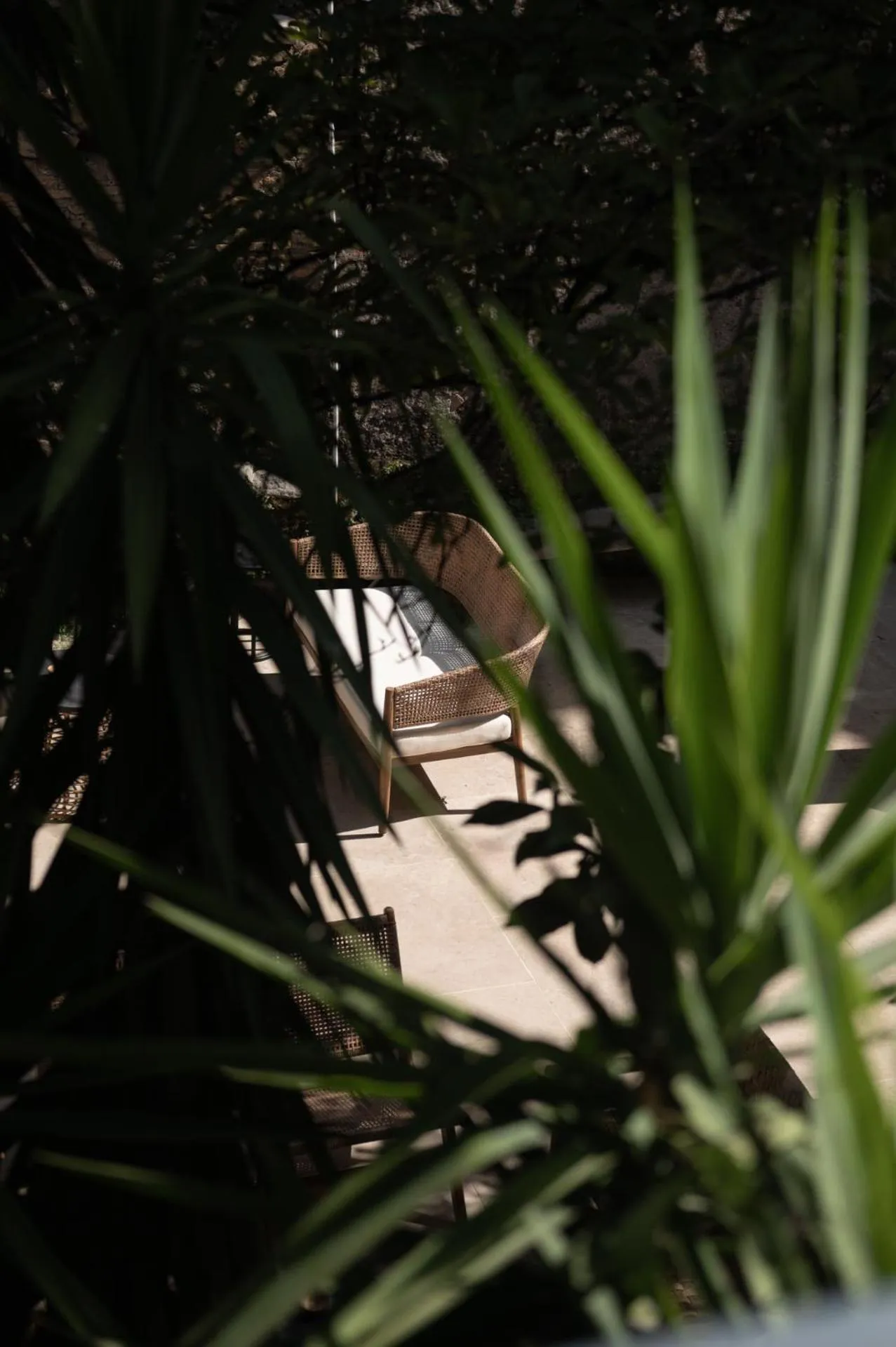 Garden in The Sanctuary Urban Retreat