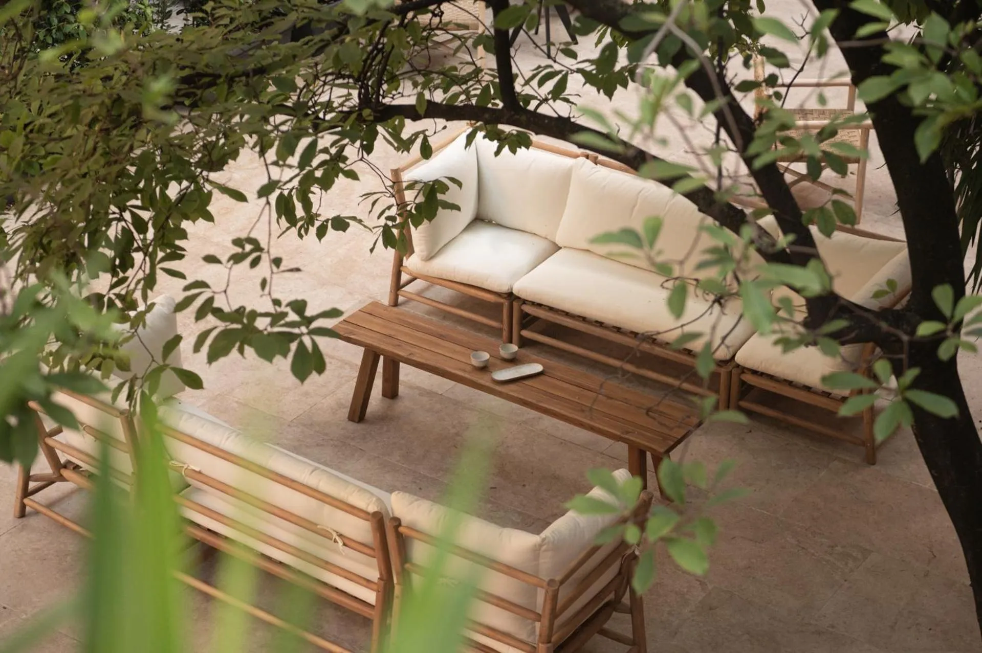 Garden in The Sanctuary Urban Retreat