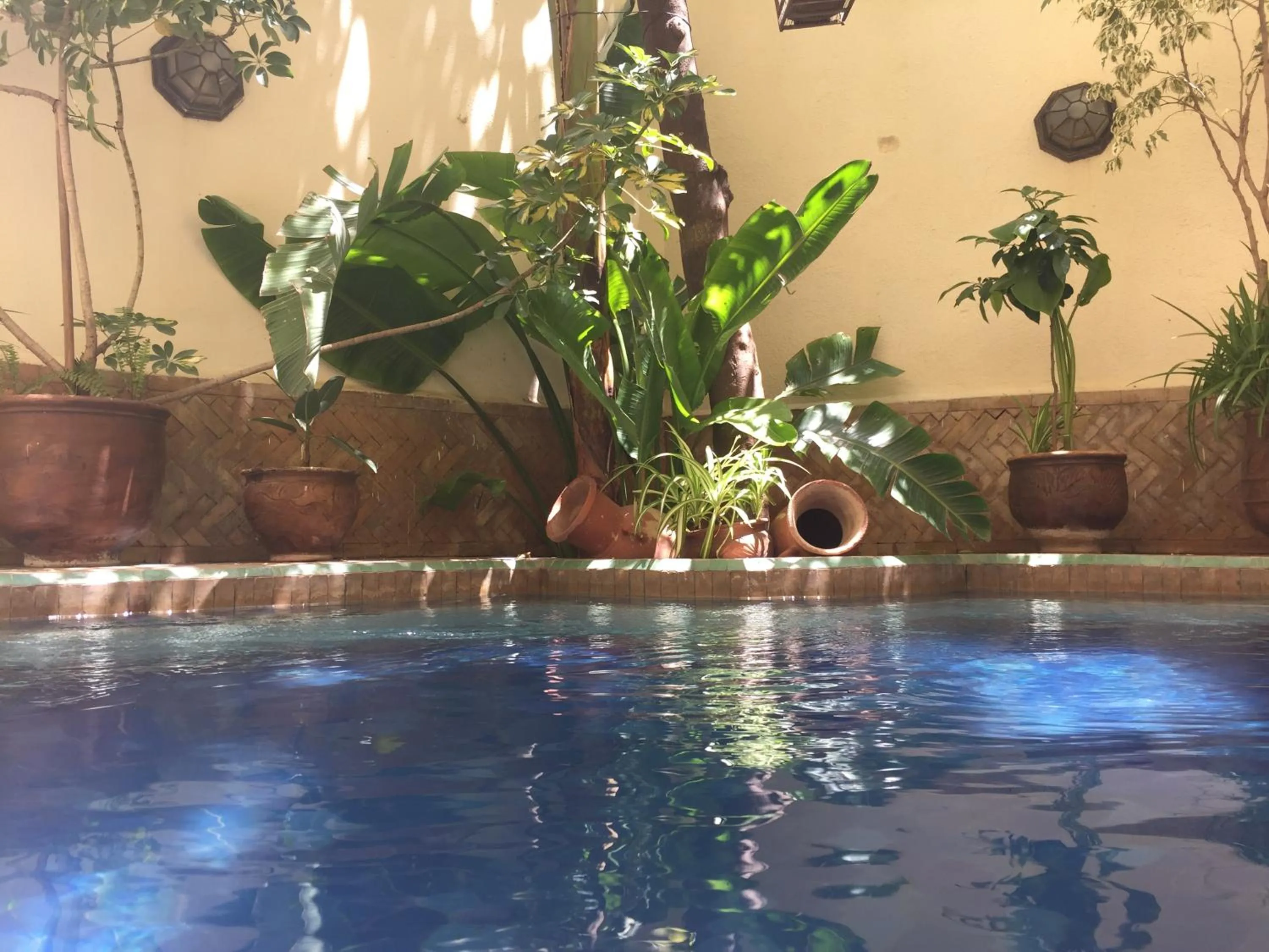 Swimming pool in Riad La Clé De Fès