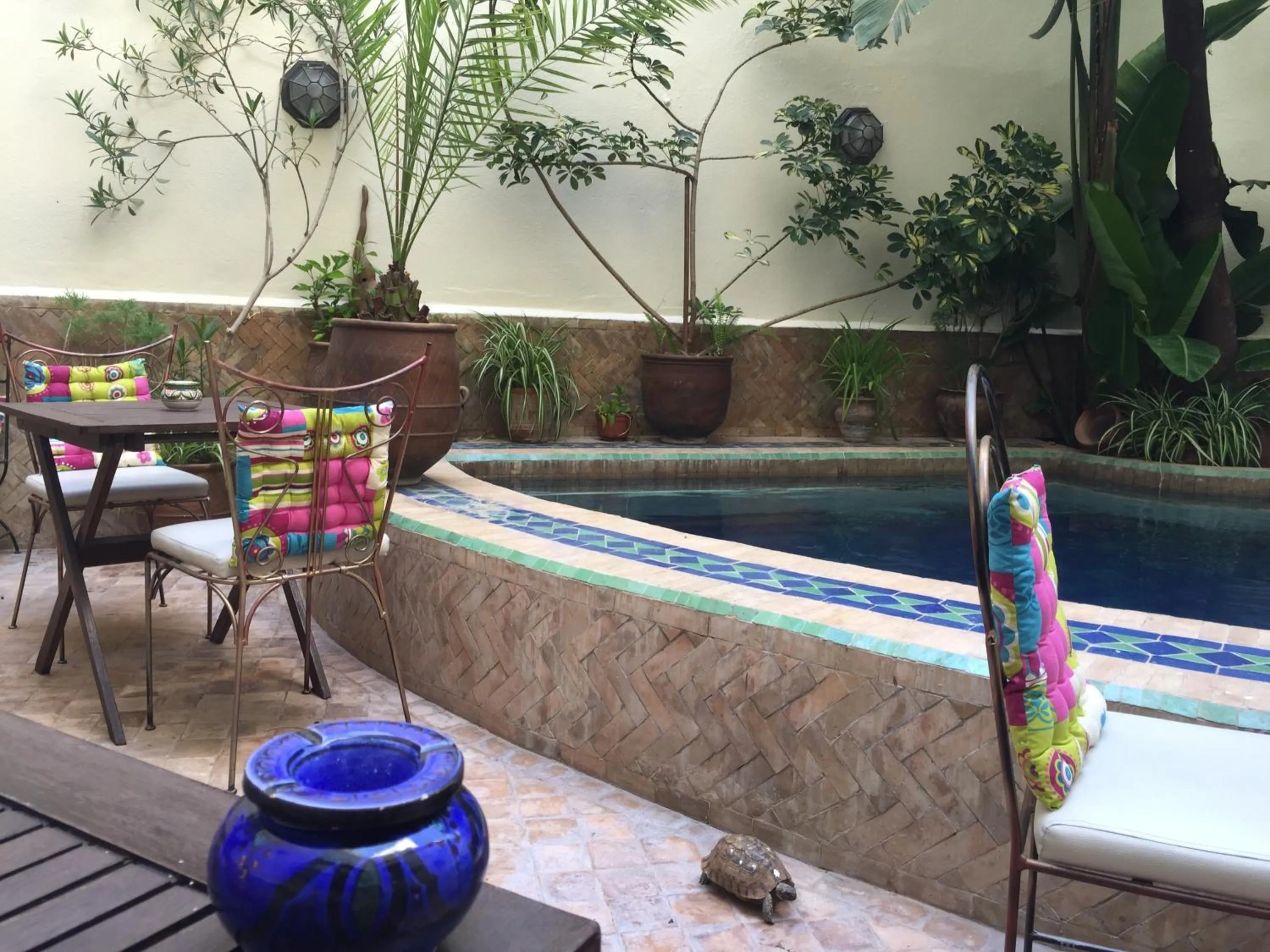 Swimming pool in Riad La Clé De Fès
